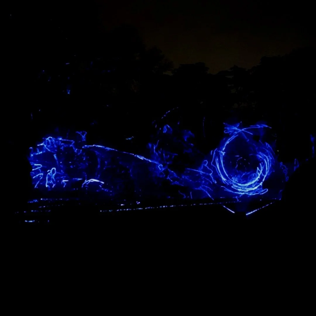 Solar dust - Parc de la Tête d'Or