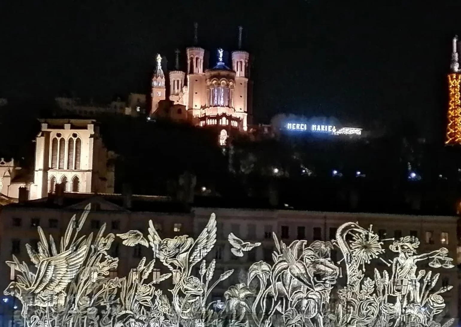 Visons - Colline de Fourvière