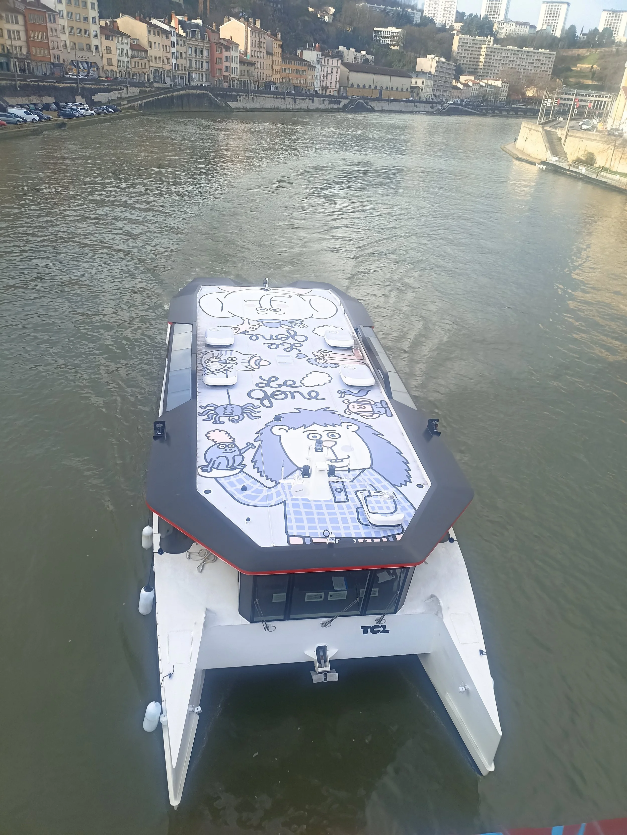 Art sur le toit de Le Gone - Fresque par Anouck Ricard.