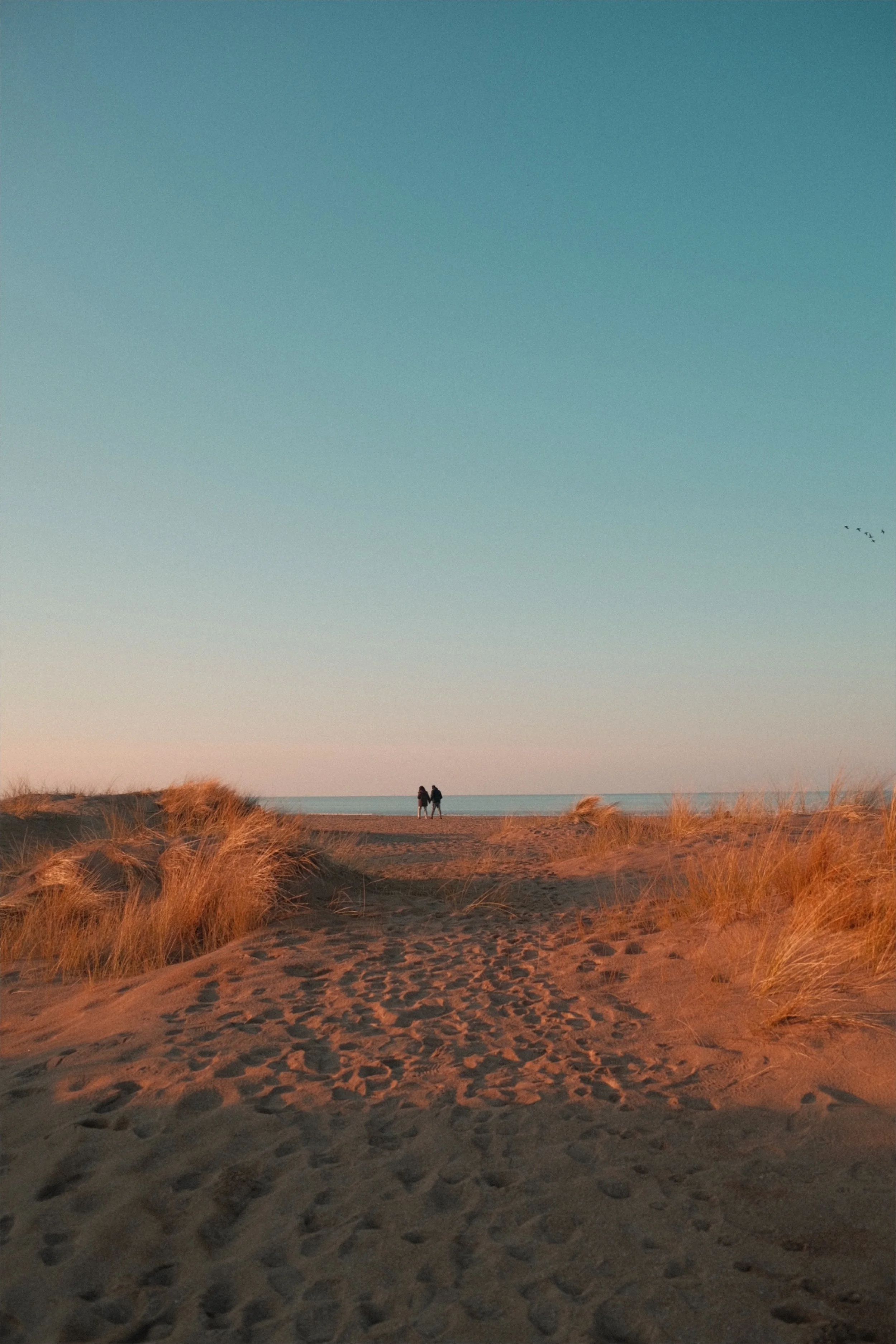 CARTE POSTALE DE CABOURG 