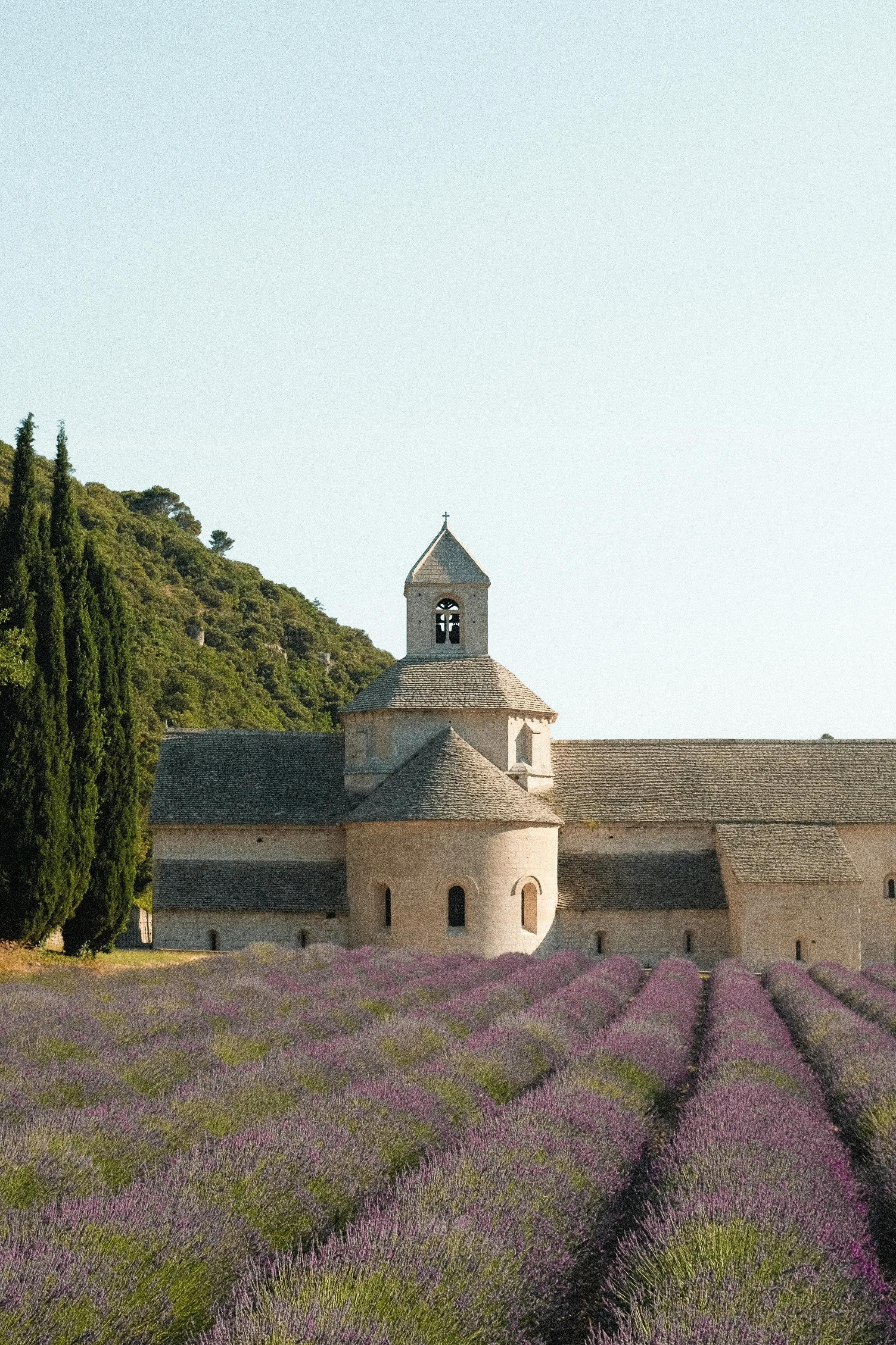 CARTE POSTALE DE PROVENCE