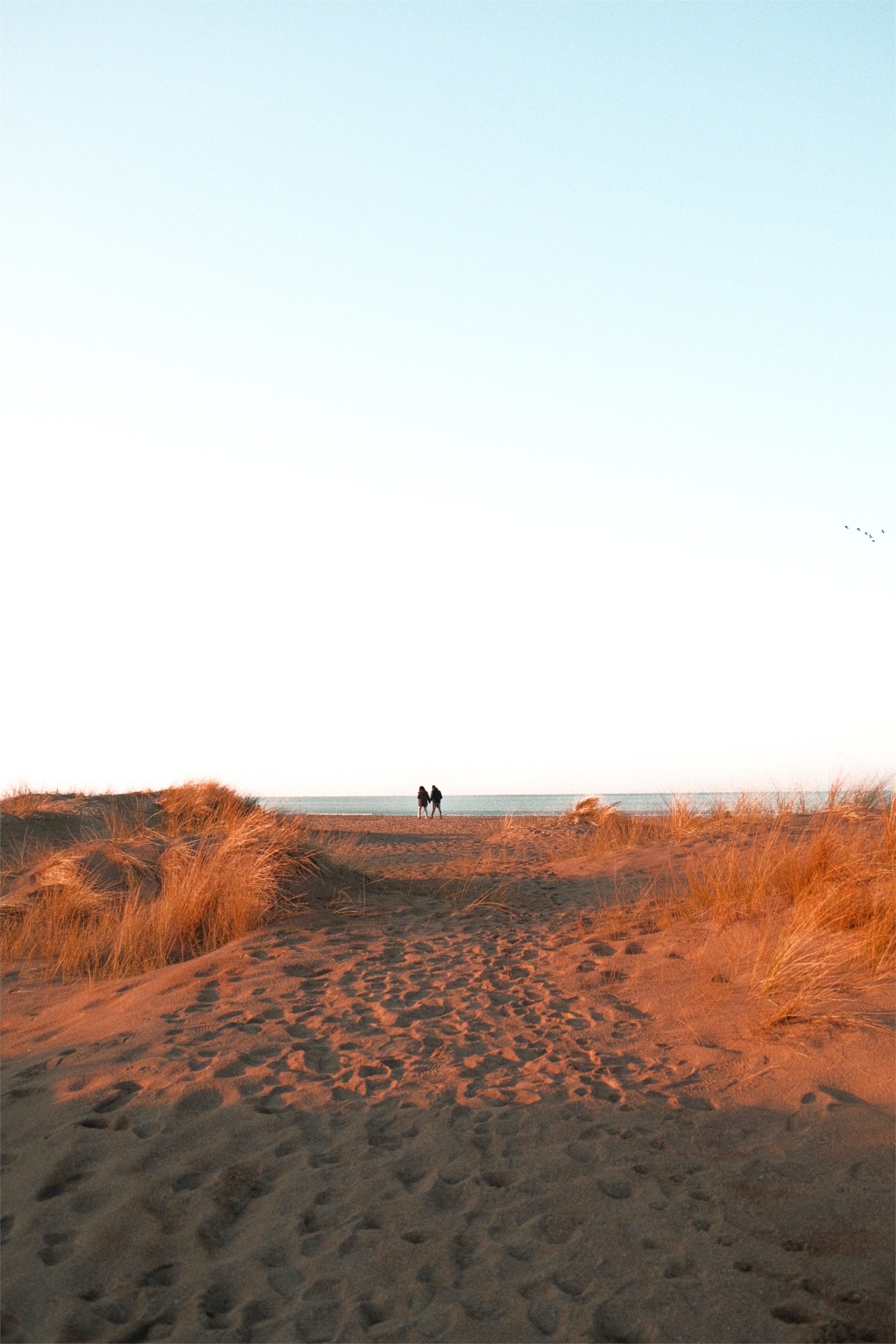 CARTE POSTALE DE CABOURG 