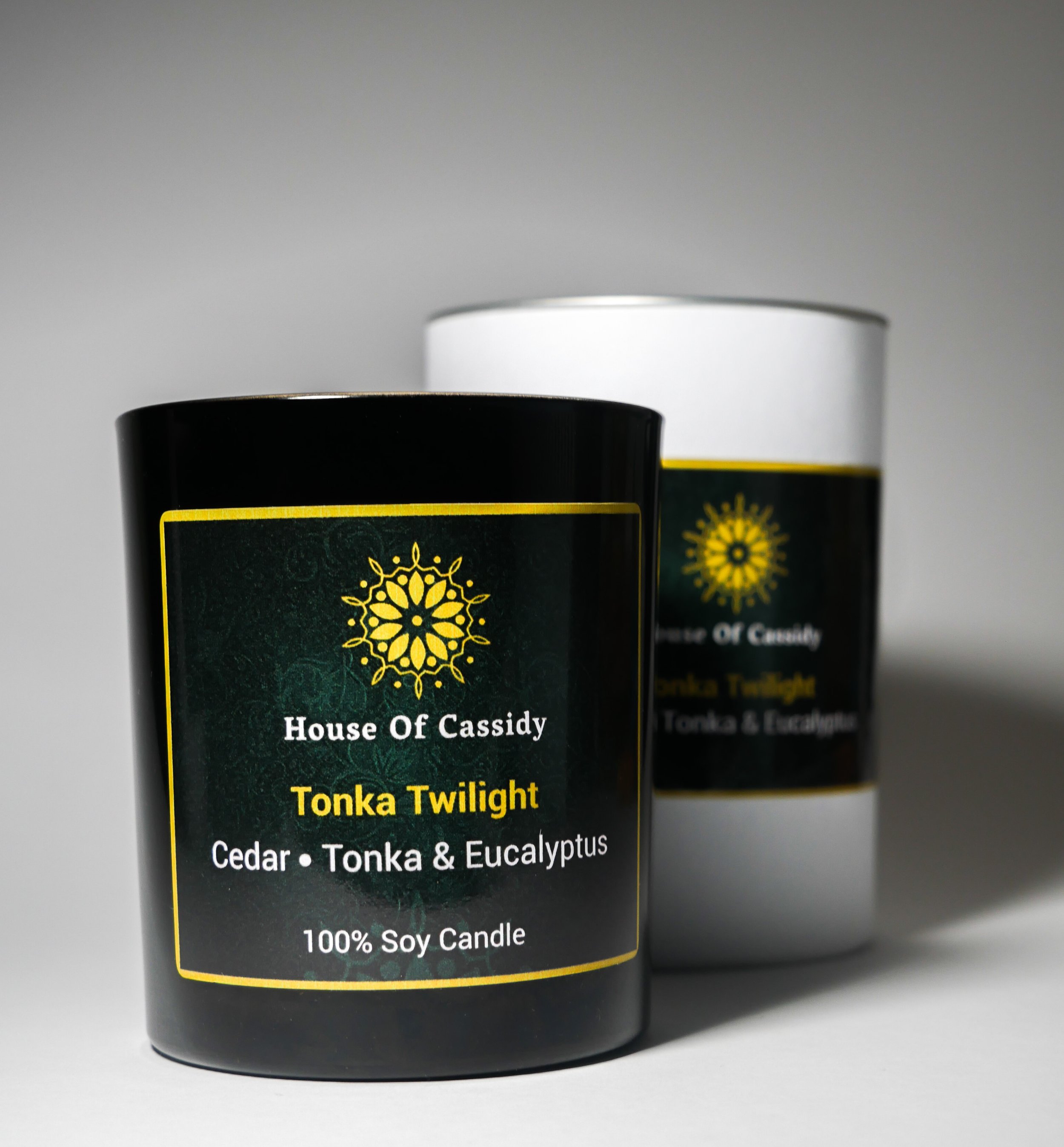 0 Tonka Twilight.jpg