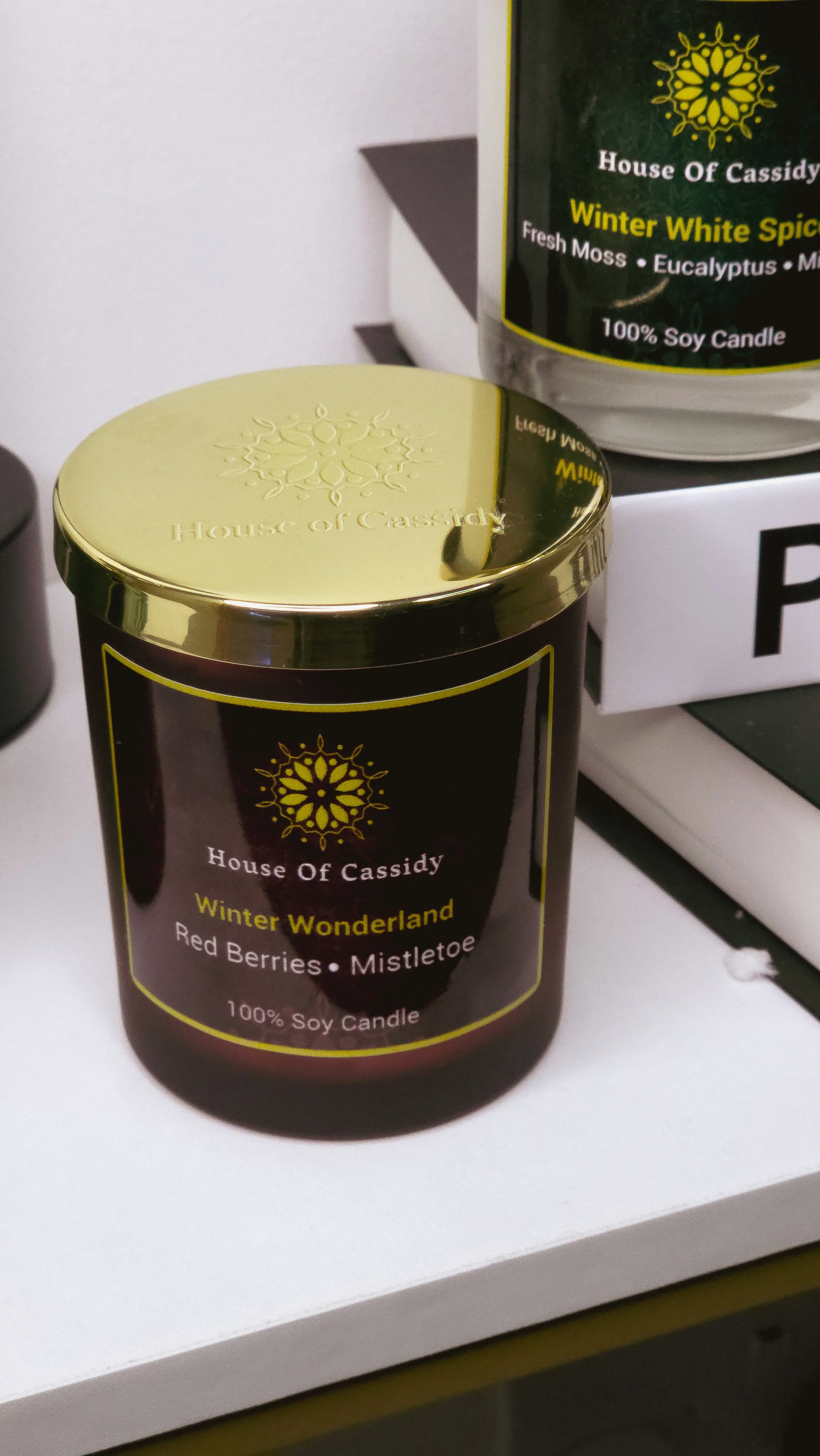 winter wonderland set .jpg