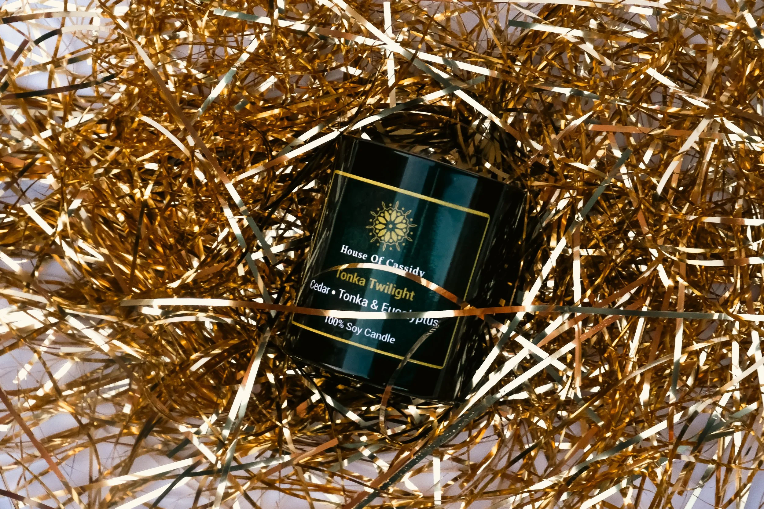 Tonka Twilight-1.jpg