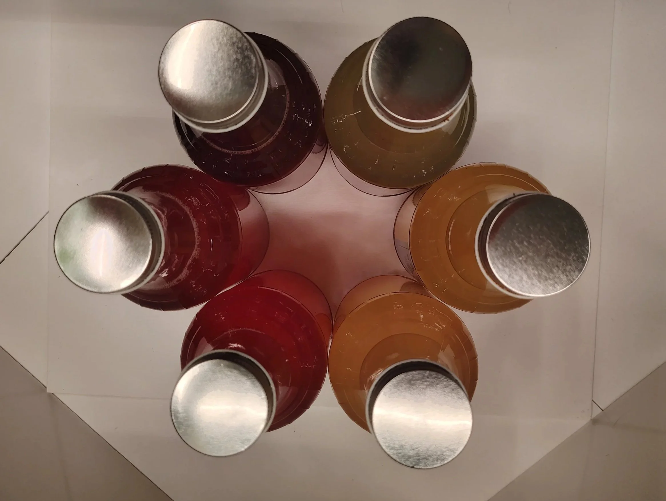 Six bottles of kombucha arranged in a circle.  Viewed from the top, with a rainbow of six different flavors: Green Apple, Ginger, Grapefruit, Cranberry-Apple, Concord Grape, Tart Cherry