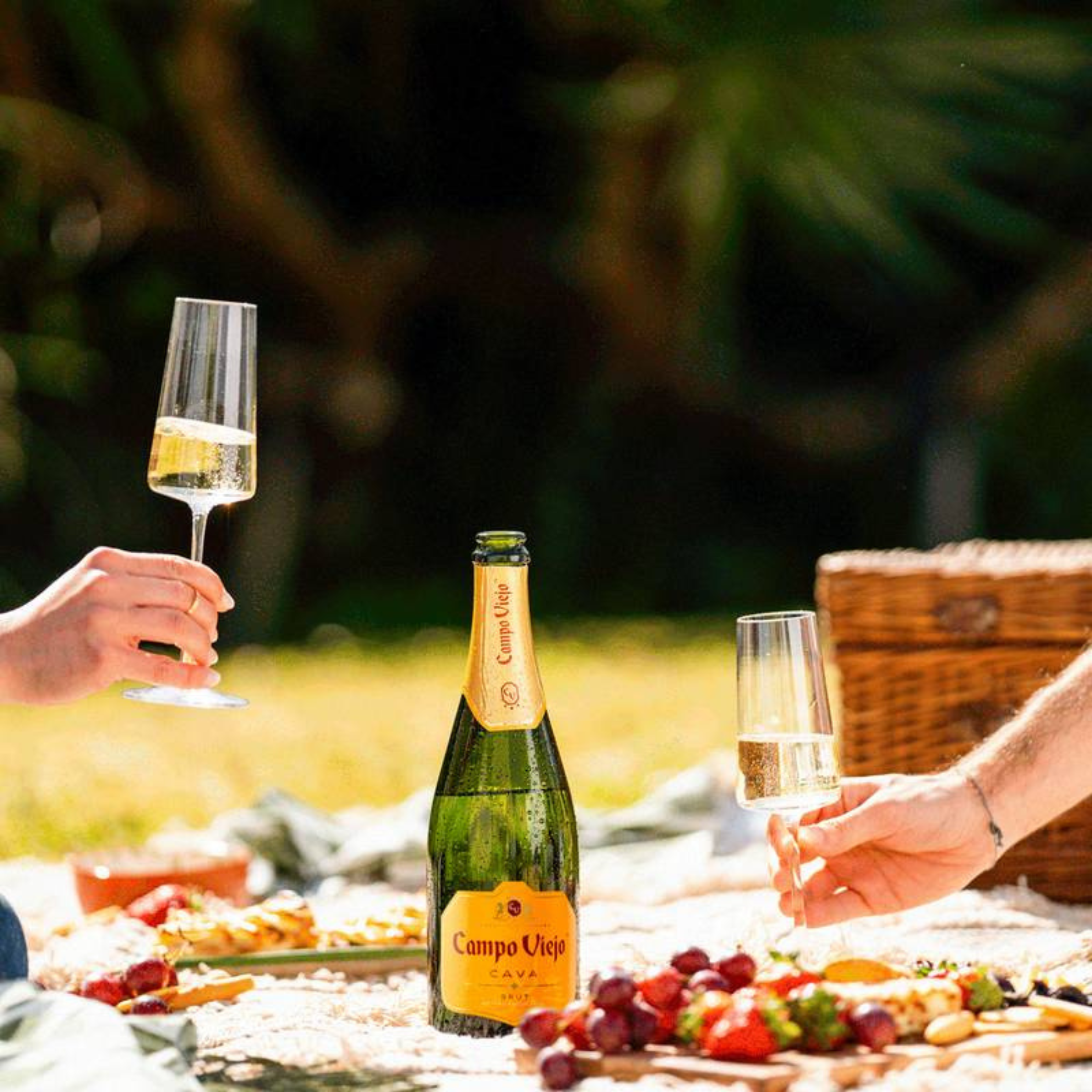 Campo Viejo Cava Brut