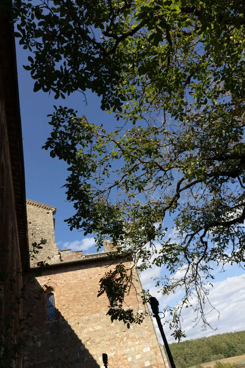 Stone walls and cypress trees frame a timeless Tuscan setting, where history and nature meet. A serene San Galgano Abbey wedding venue captured with depth and light