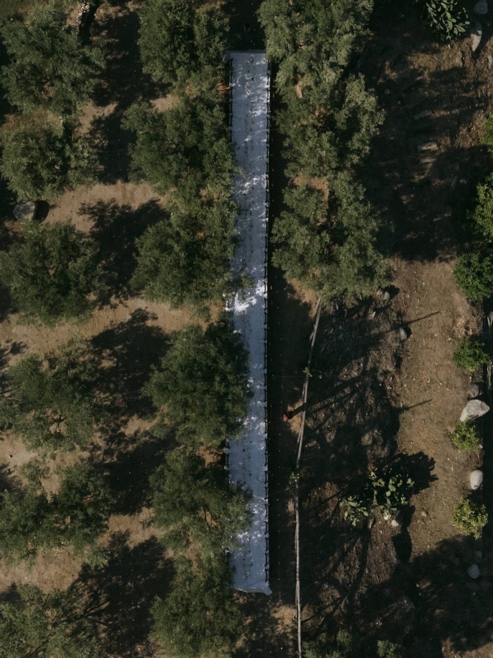 at your wedding in italy, every element becomes part of the story.
how the space is set holds the energy of what will unfold.
i use aerial frames not just for beauty, but for perspective.
so you can see how your vision held your people, circled your 