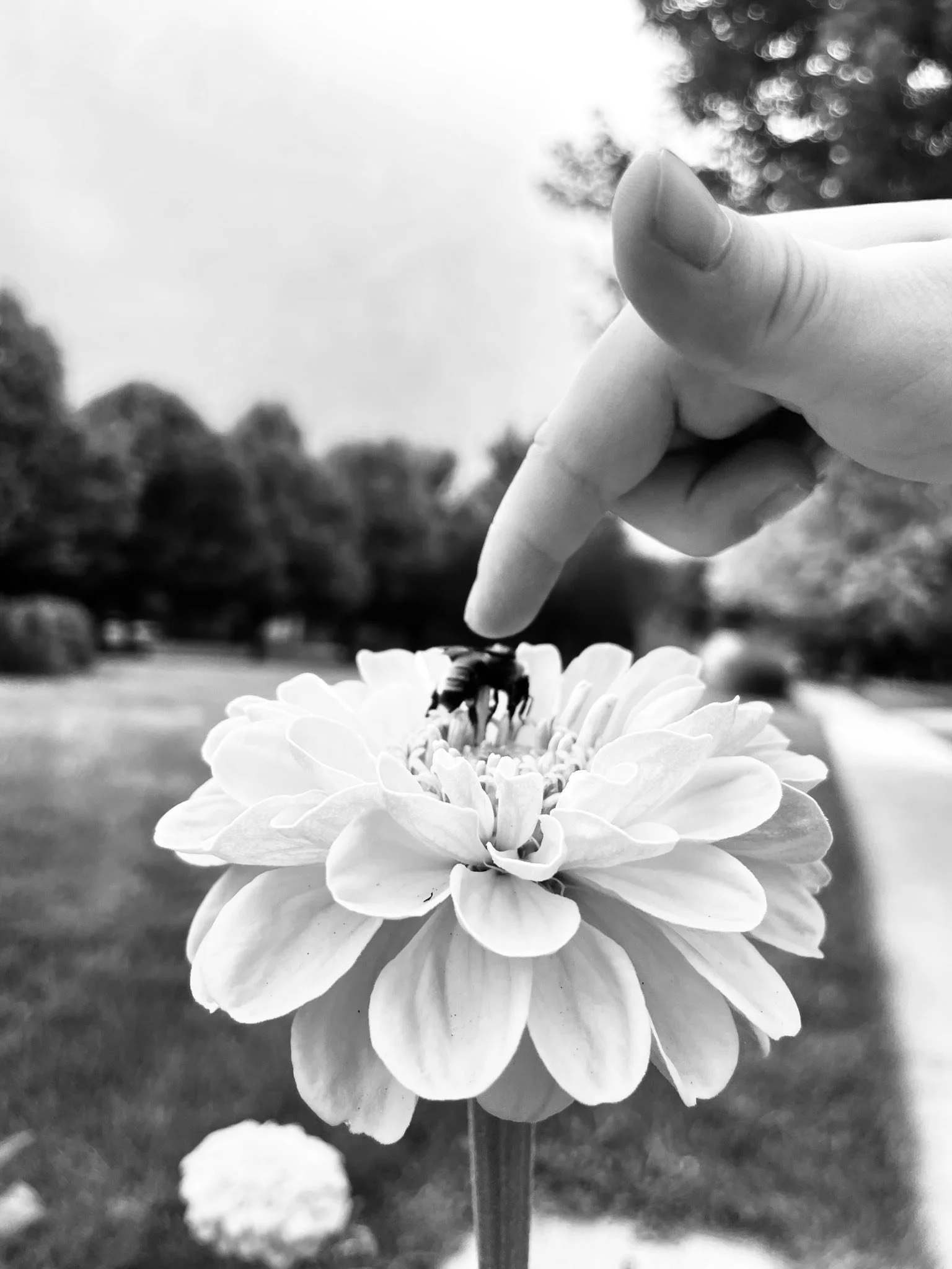 How Much Life Insurance Do You Actually Need? (The Answer May Surprise You.)