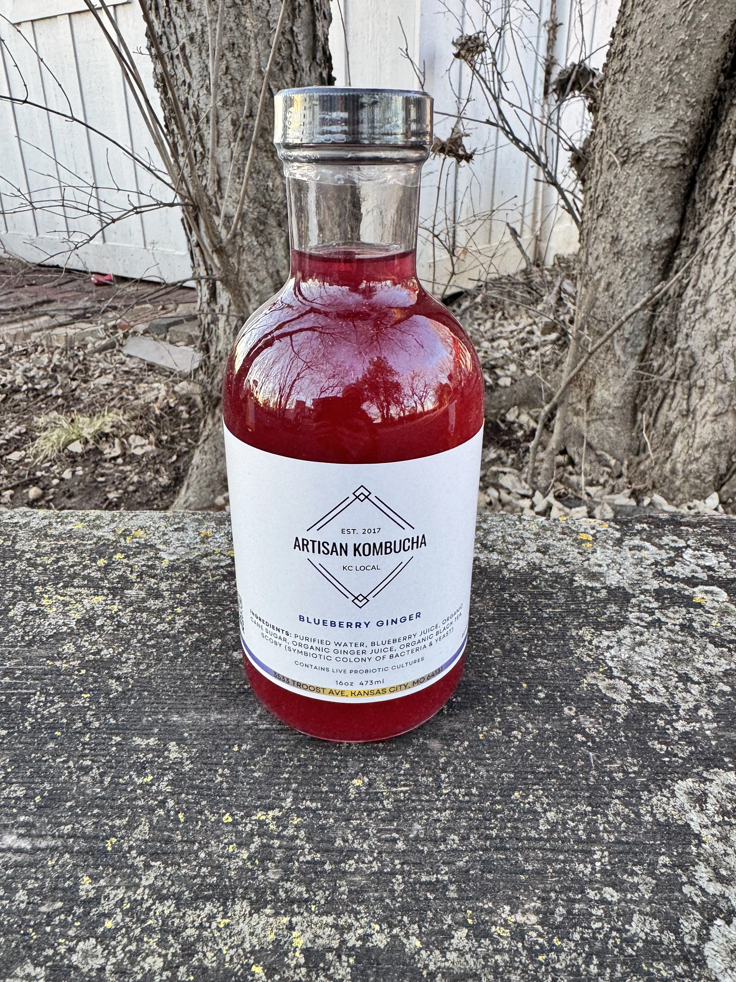 blueberry ginger.jpeg