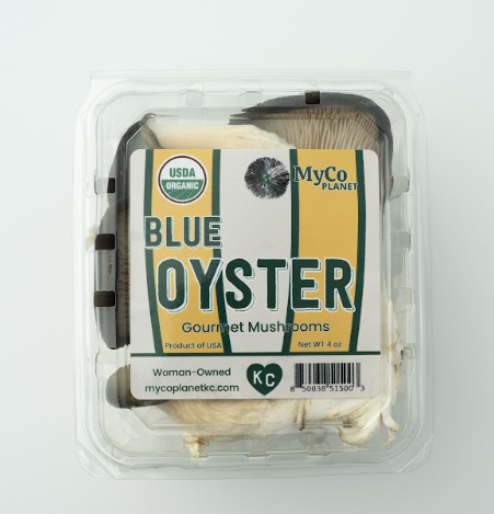 Blue Oyster Mushrooms 4 oz (MyCo Planet)