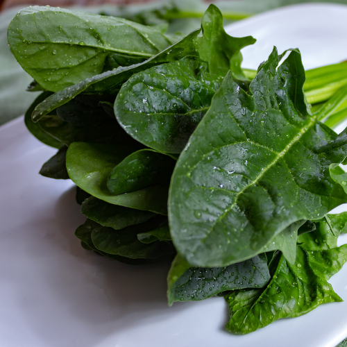 Heirloom Spinach 6 oz