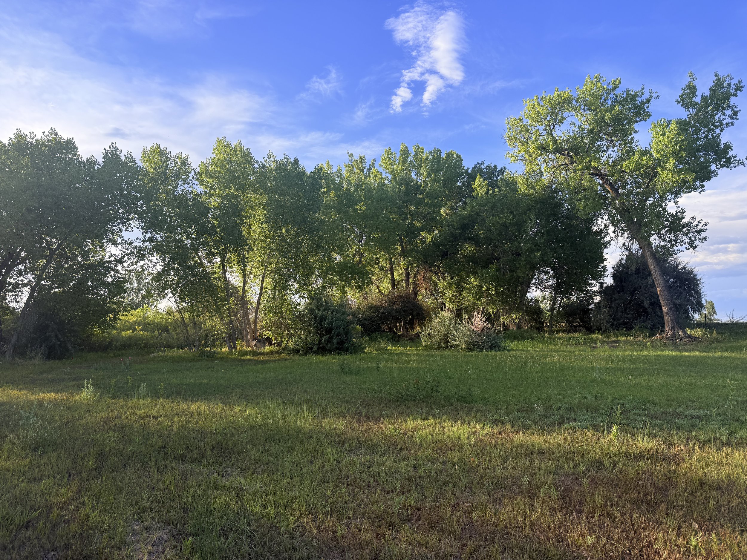 The East side of the property at golden hour.