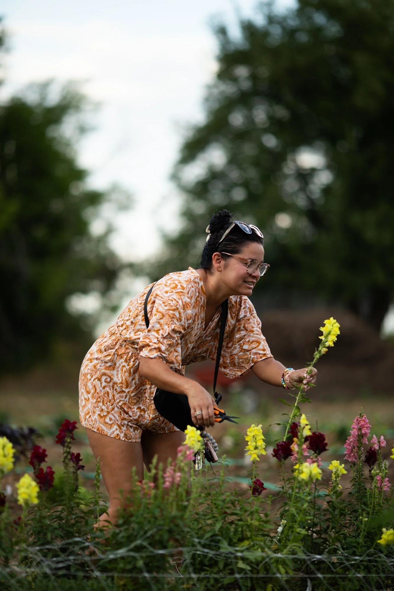 arbore_flower_farm_7262510_1.jpg