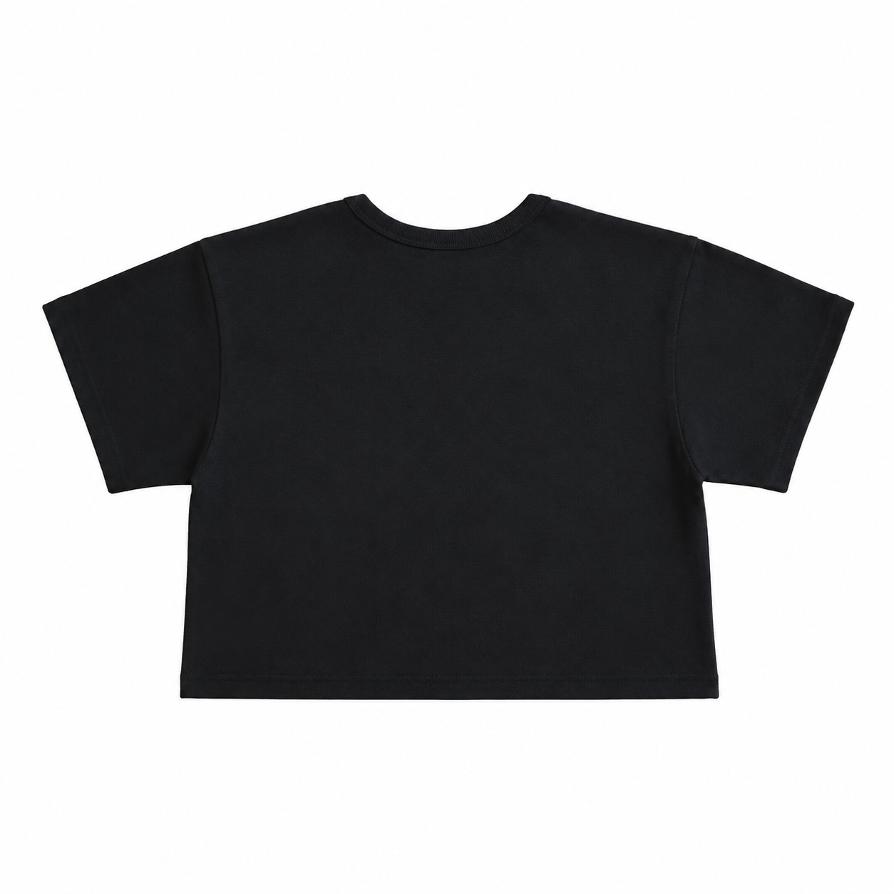 Undefined Champion Crop Top Tee Black (2).png