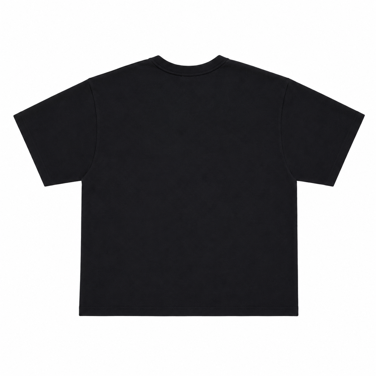 Undefined Champion Tee Black (2).png