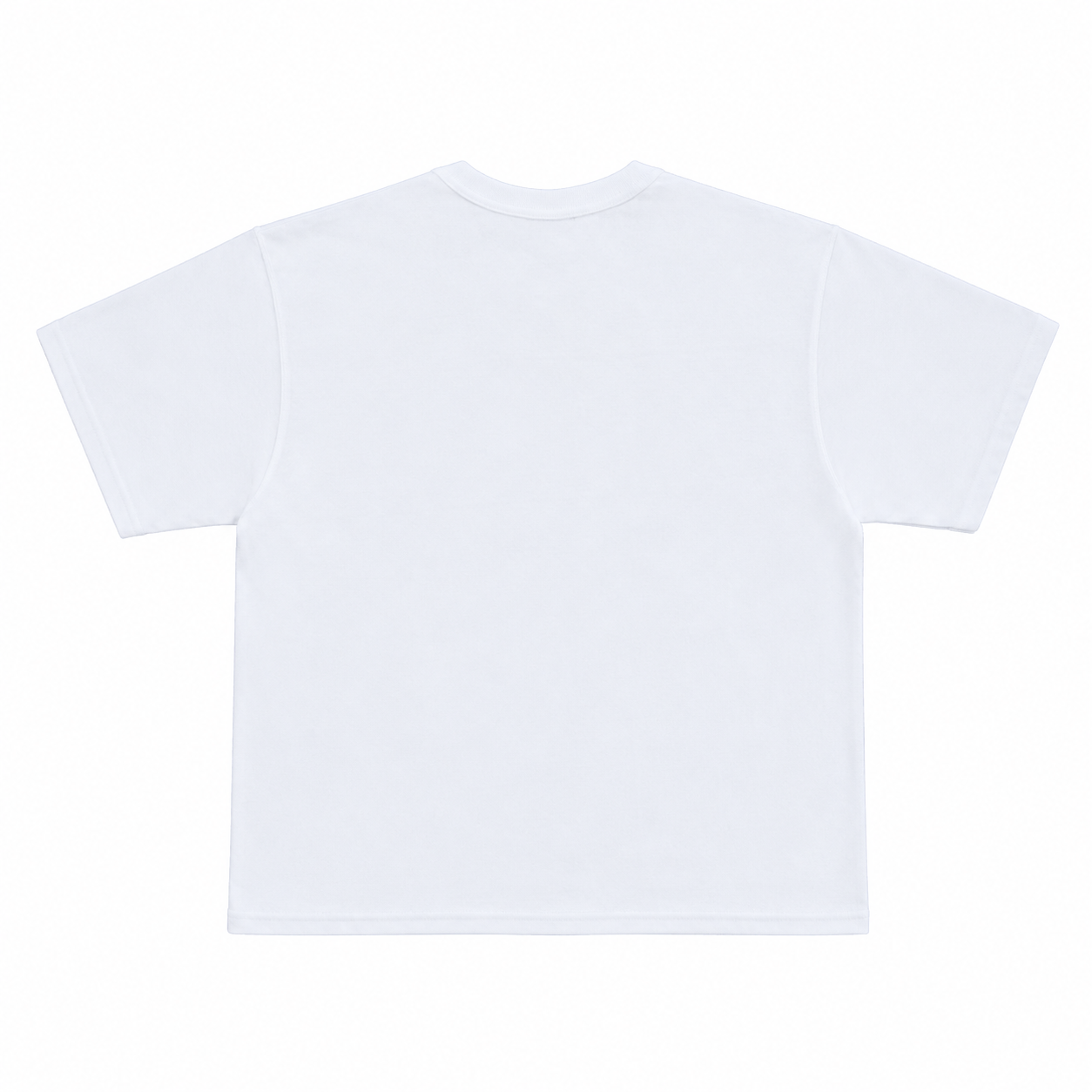 Undefined Champion Tee White (2).png