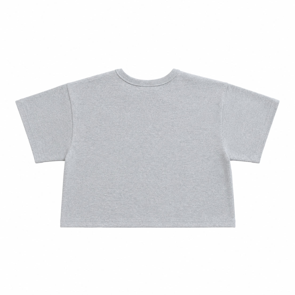 Undefined Champion Crop Top Tee Grey (2).png