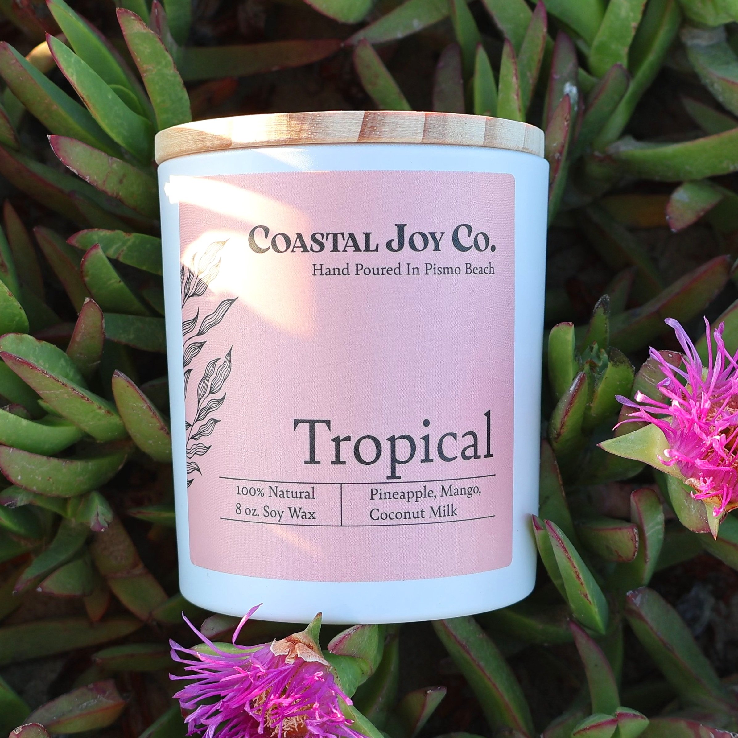 Tropical
