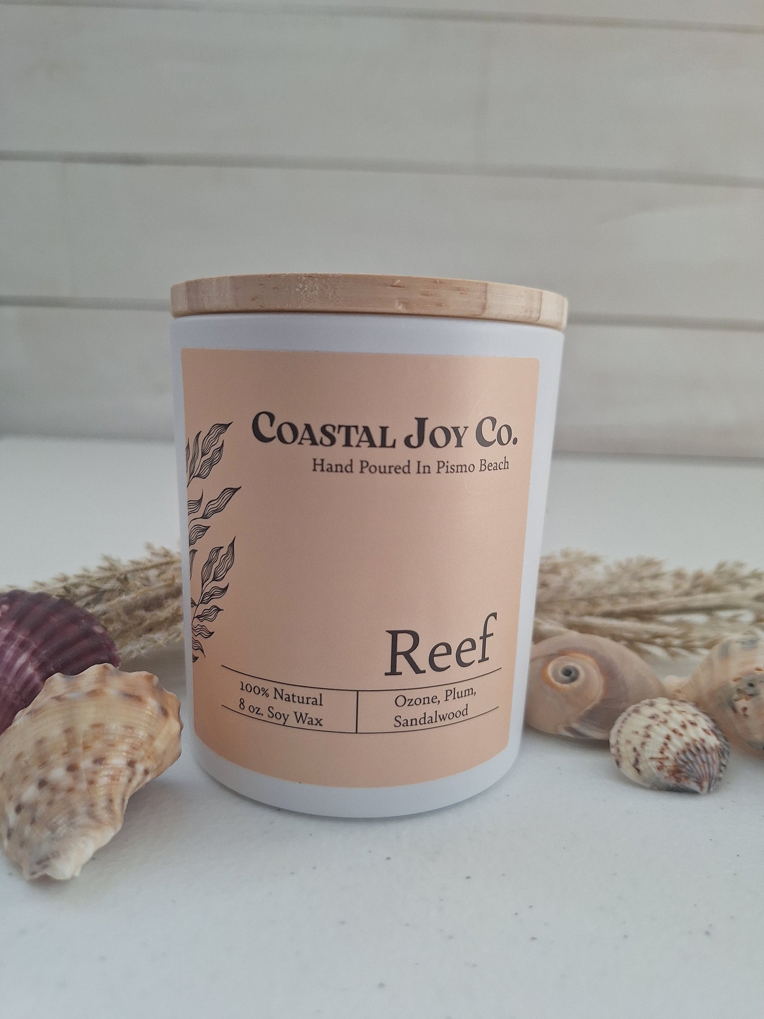 Reef