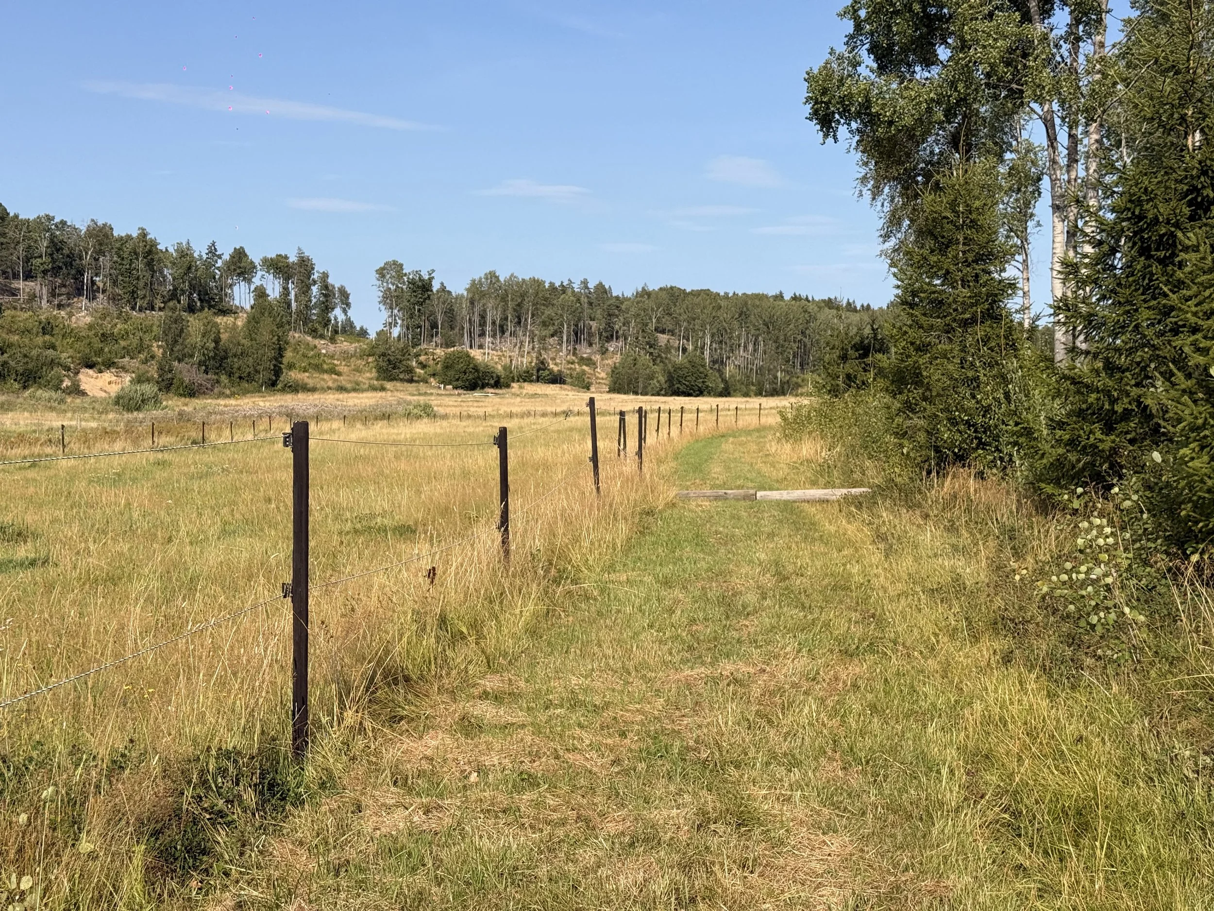A rural scene of a grassy field with a fence, surrounded by trees under a blue sky