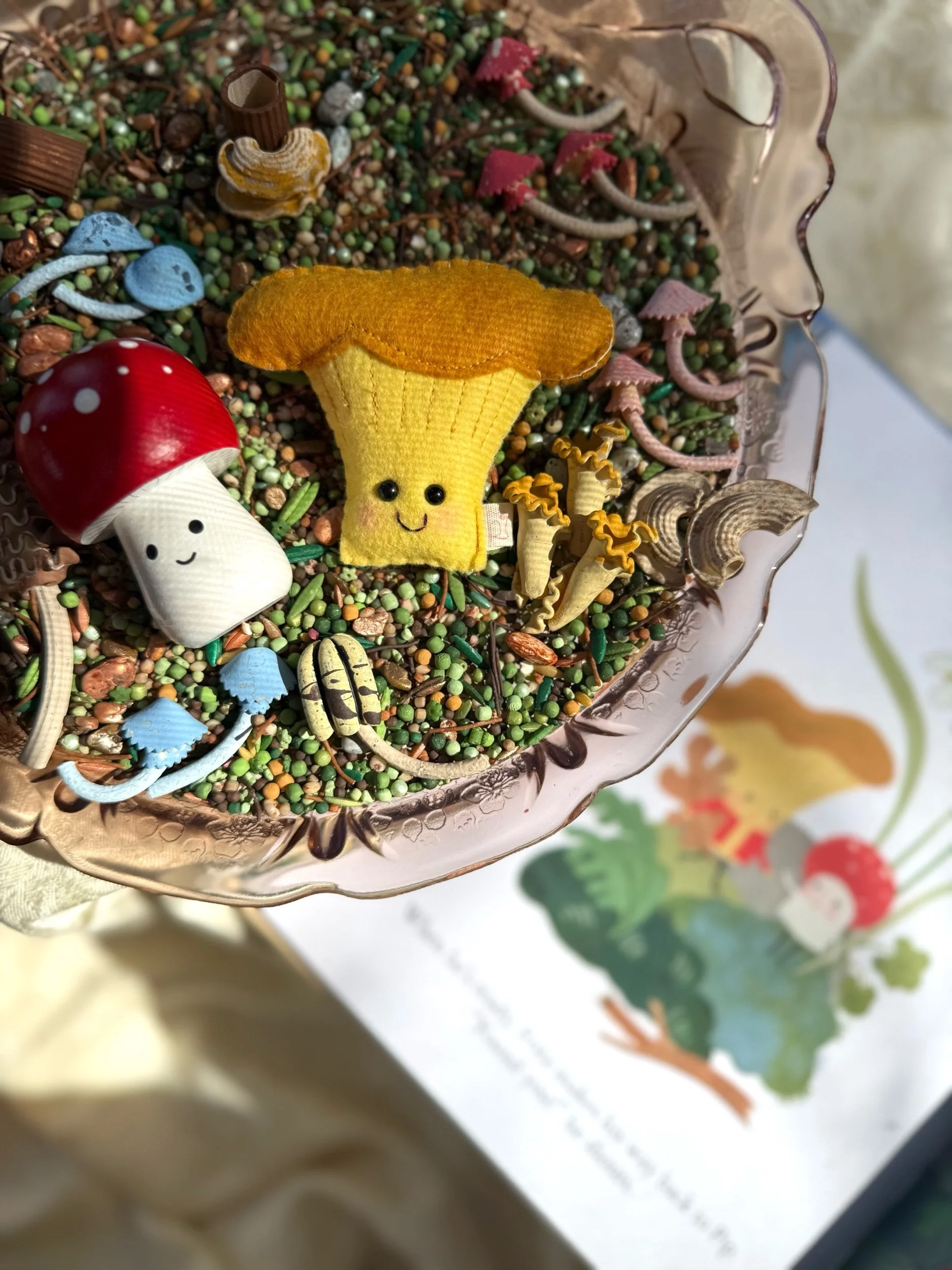 The Mushroom Kit: An Inside the Story Kit (PRE-ORDER)