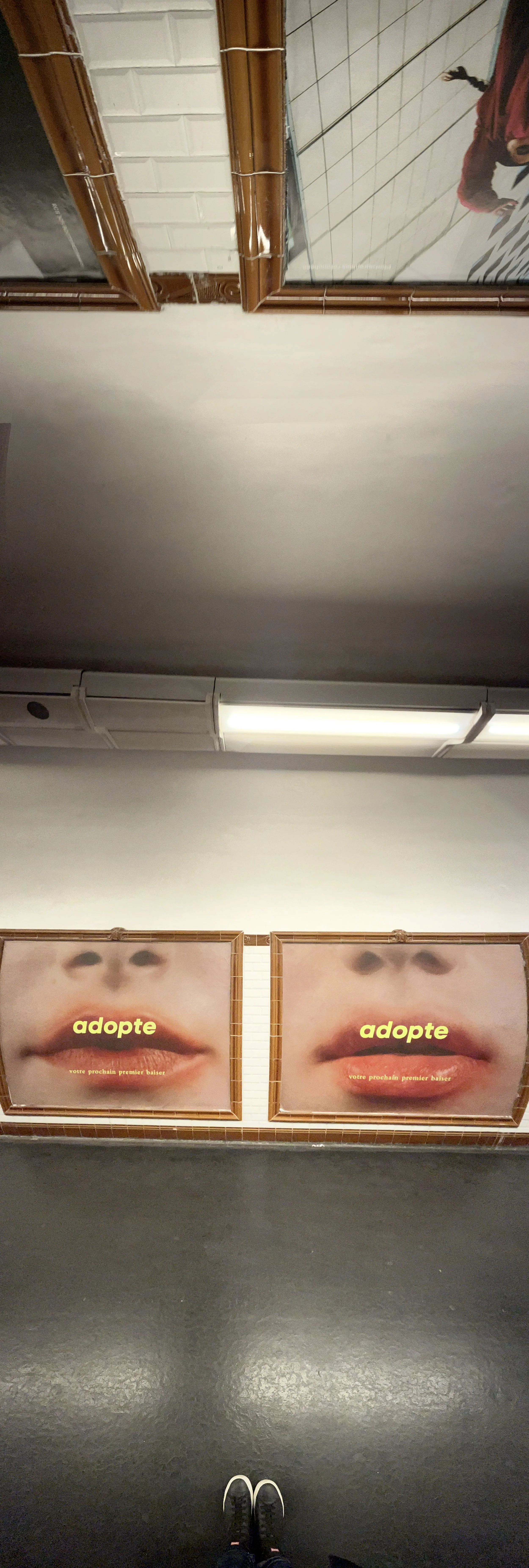ADOPTE - CATHERINE CORNELI - 2025