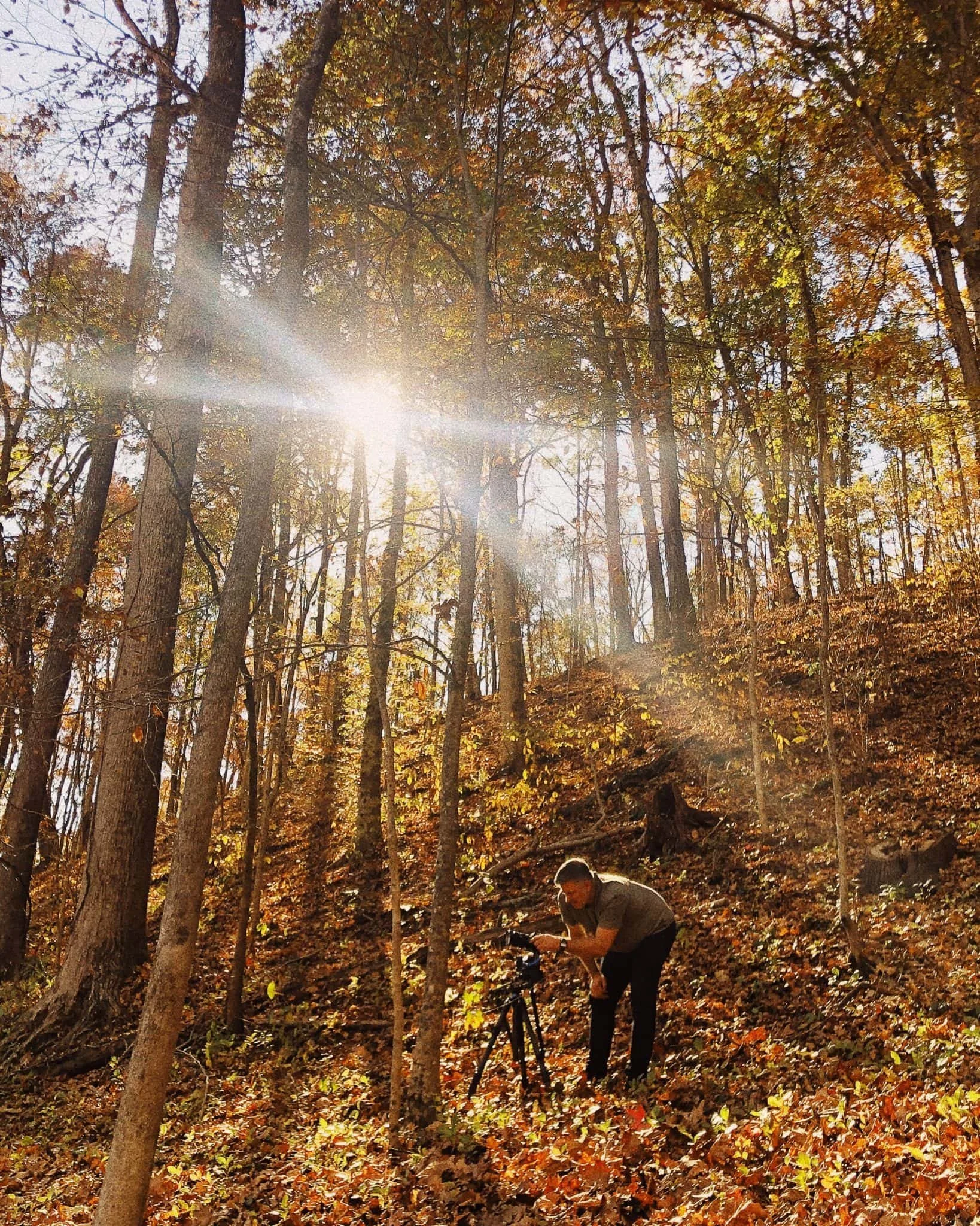 A man setting up or adjusting a camera on a tripod in a forest with tall trees and autumn leaves, sunlight filtering through the branches.