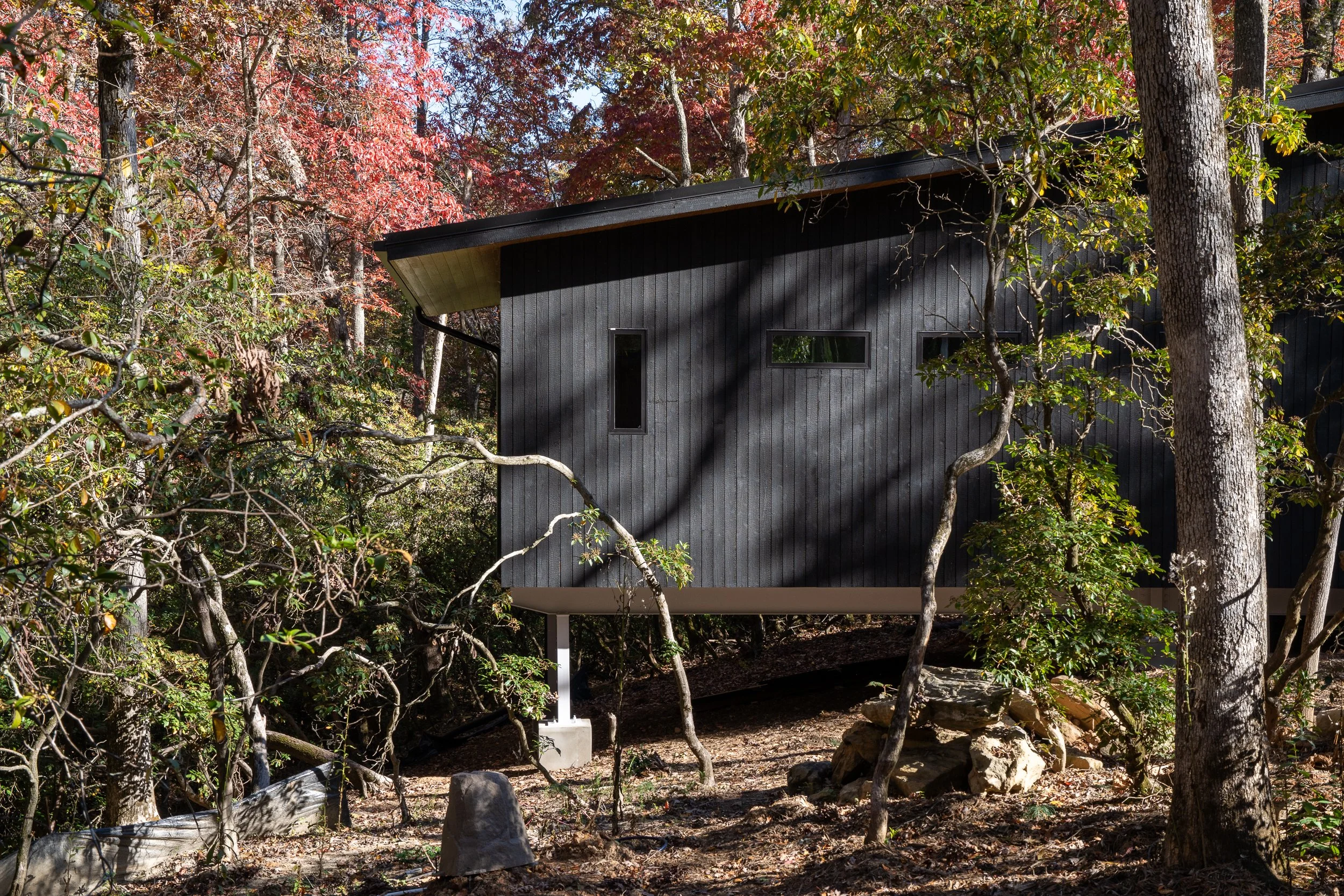Side view of the burnt cedar exterior raised above the sloped forest floor.