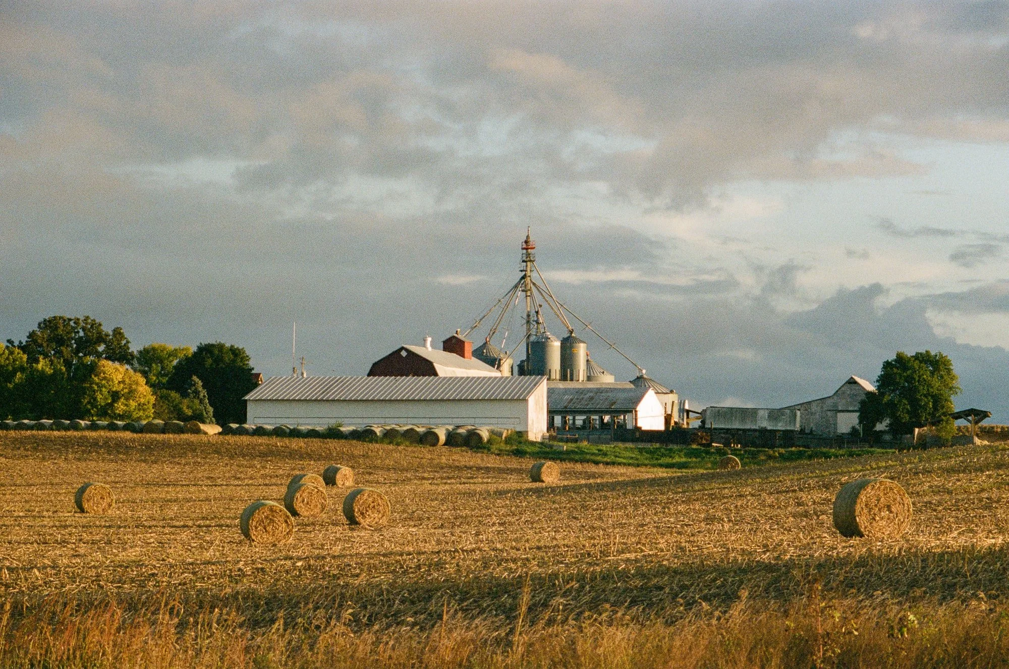 Film photo of commercial farm buildings and a hay field in rural Minnesota