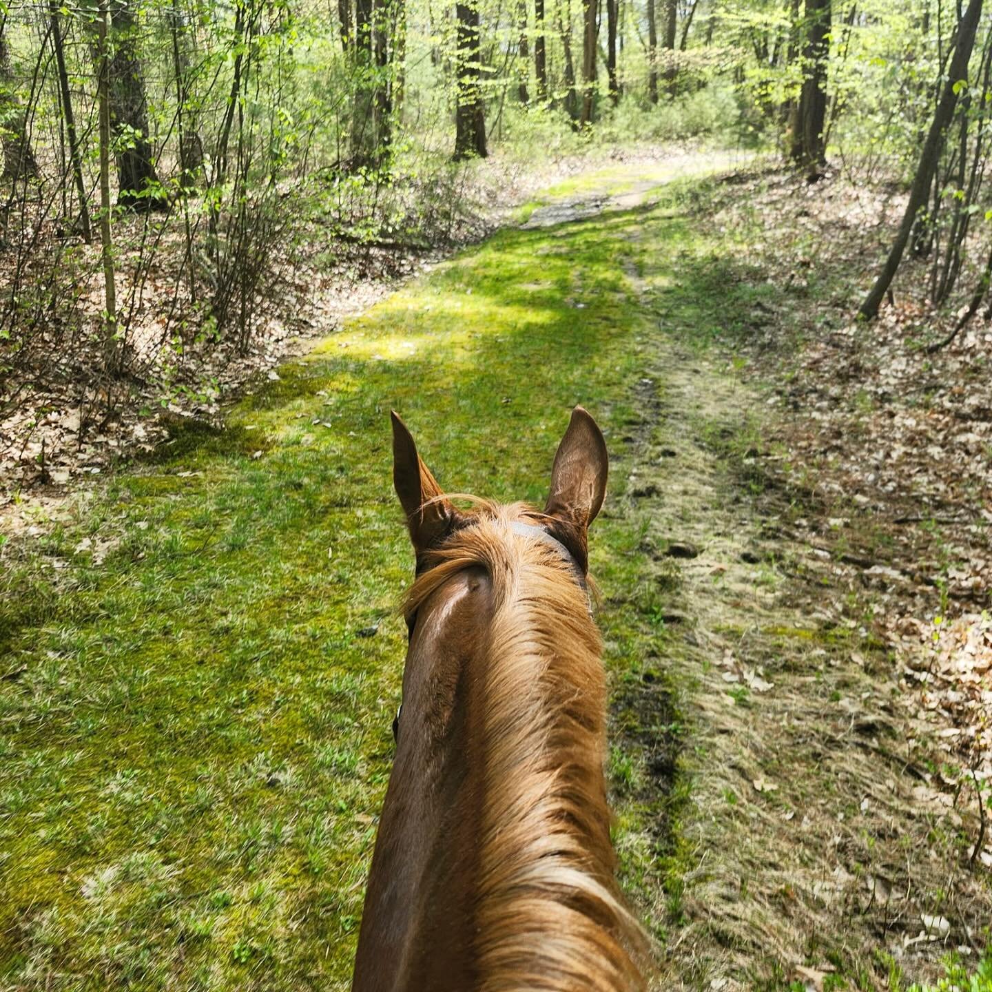 The best Sunday view. 🦄