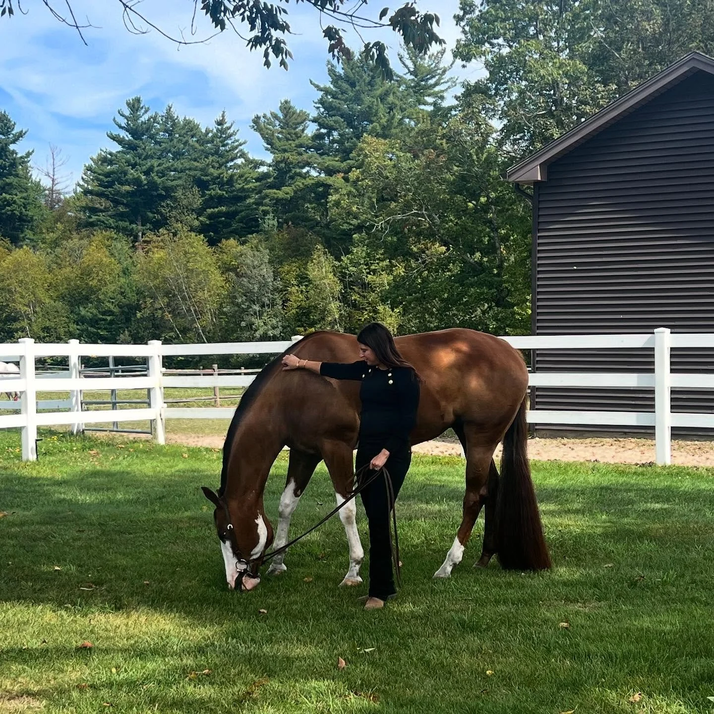 Horses make hearts happy. ❤️