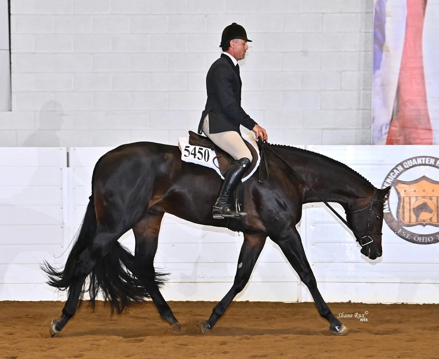 Top ten for his maiden ride at The All American Quarter Horse Congress. The good American was a good boy! 
🇺🇸🐴

Shown by: Scott Jones