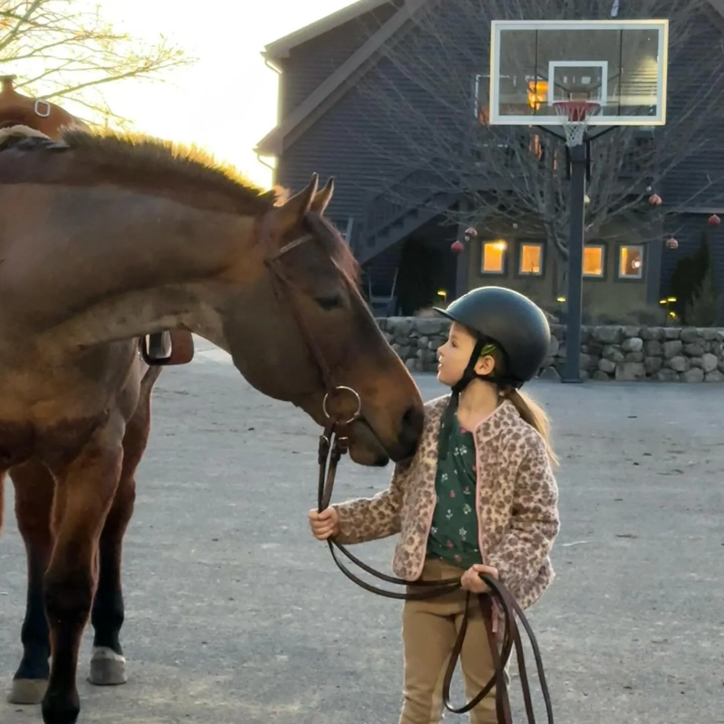 A girl and her gentle giant ❤️✨🦄