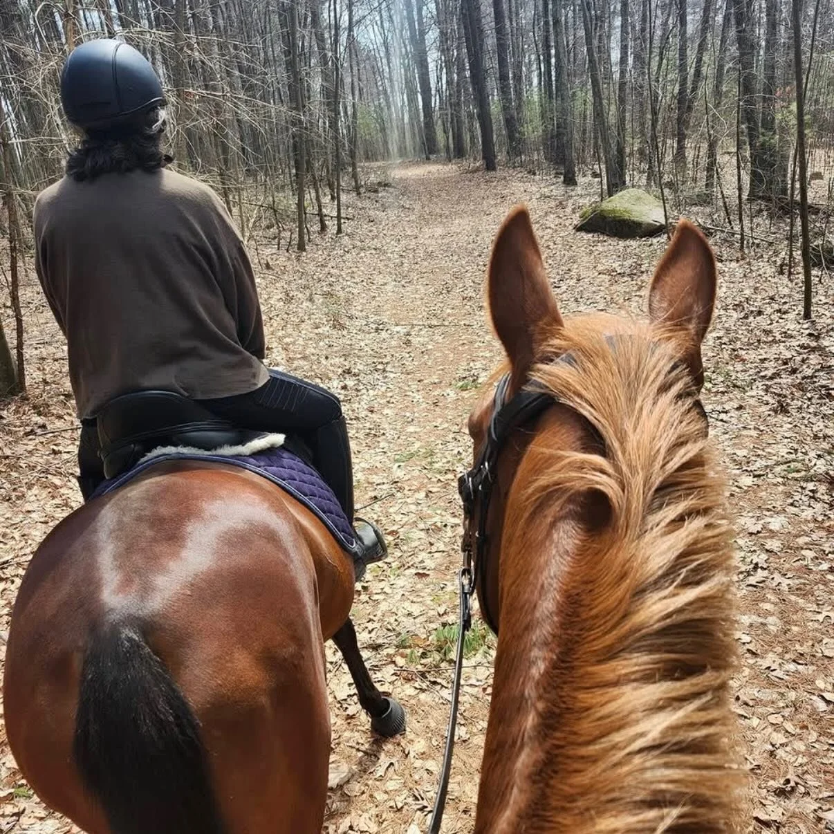 Good company and quiet trails. Stella &amp; Gem had a day 💕