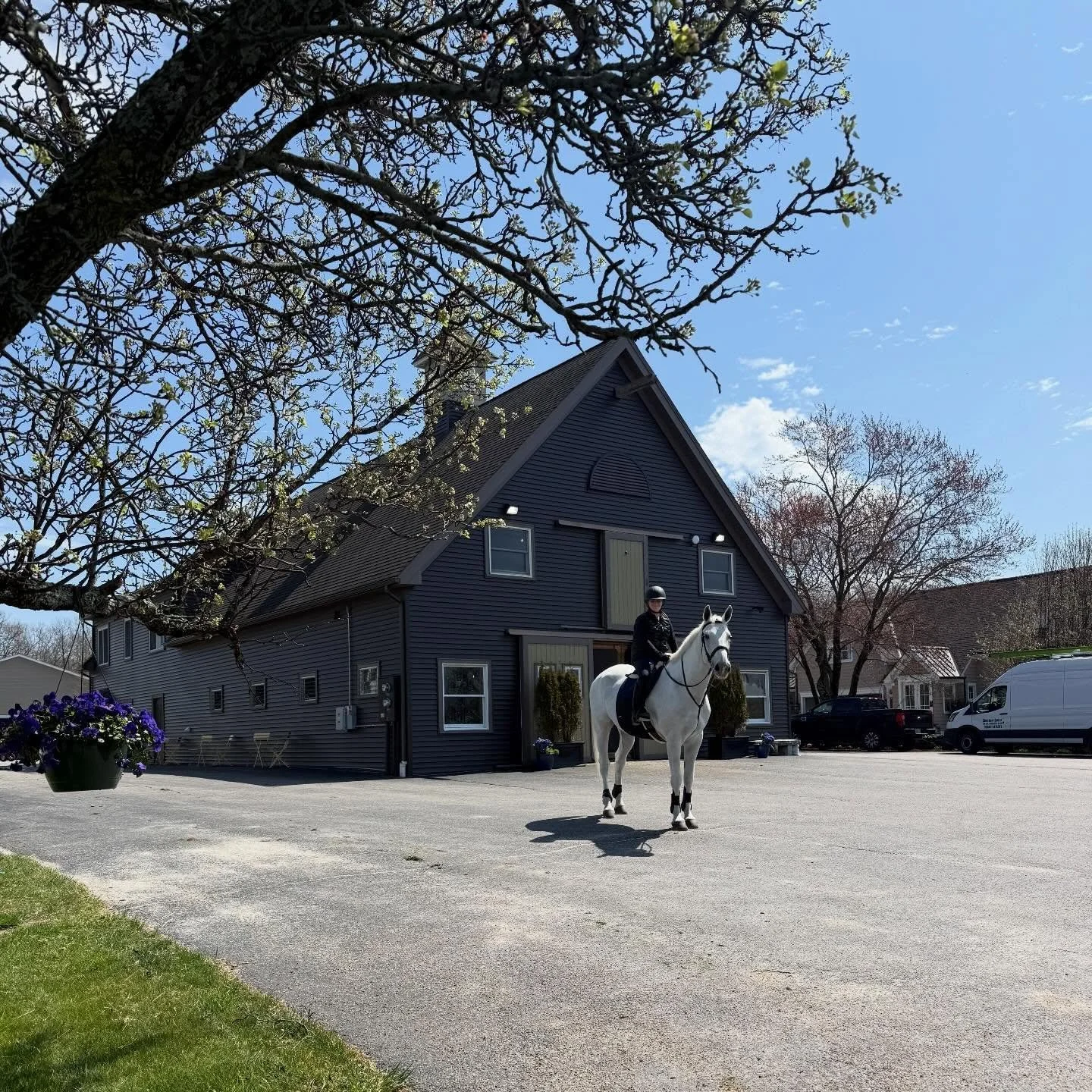 Our version of a perfect afternoon 🌸