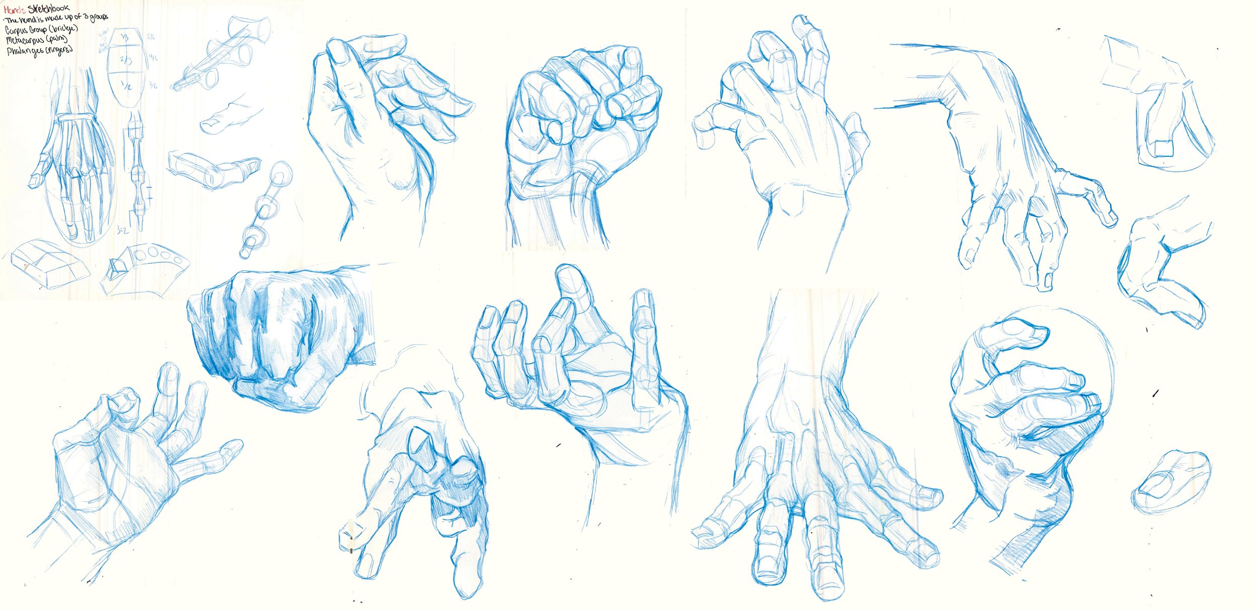plaga_fg_sketchbook_hands_1.jpg