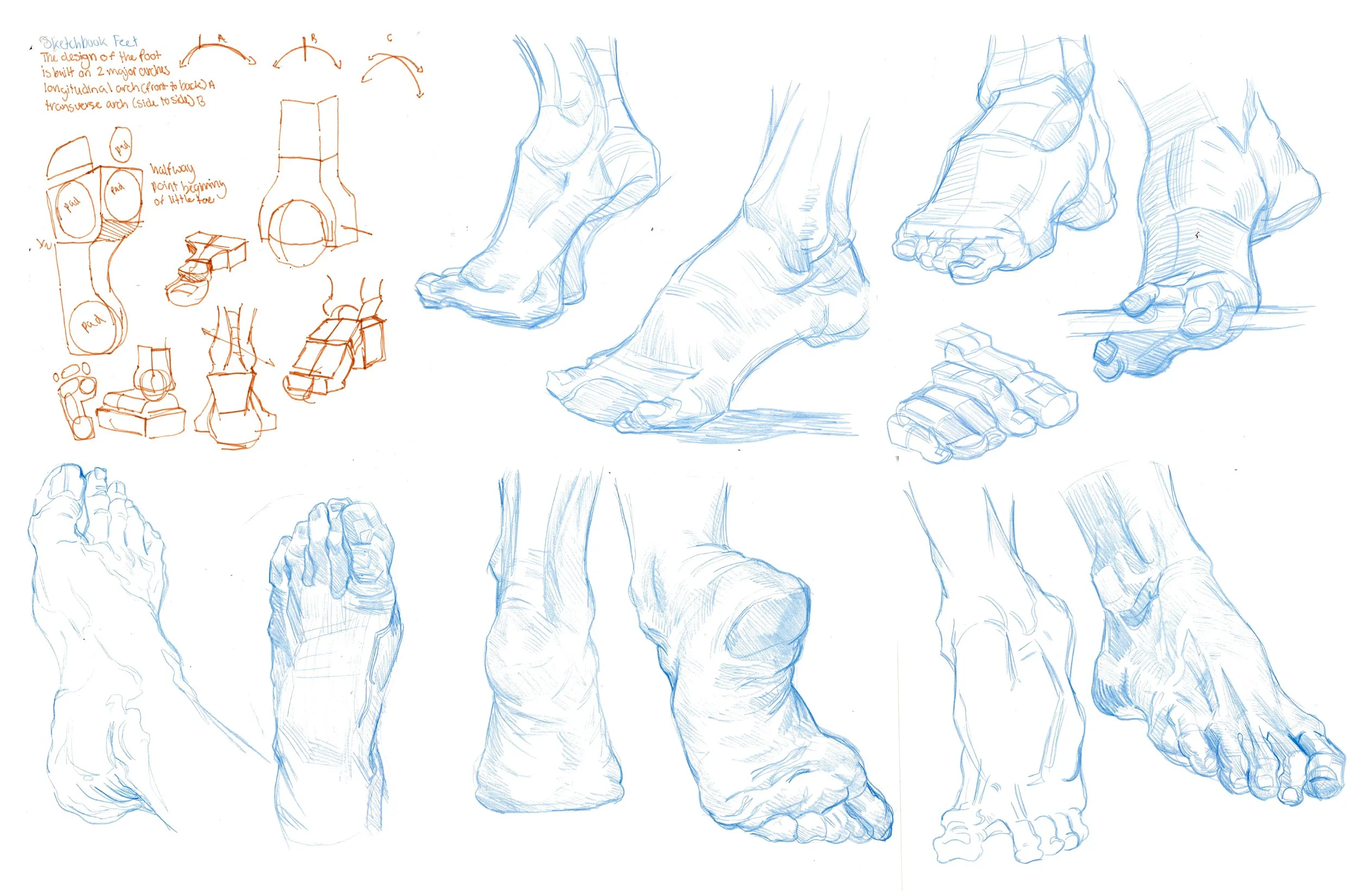 Plaga_FG_Sketchbook Feet_0000s_0001_Background.jpg
