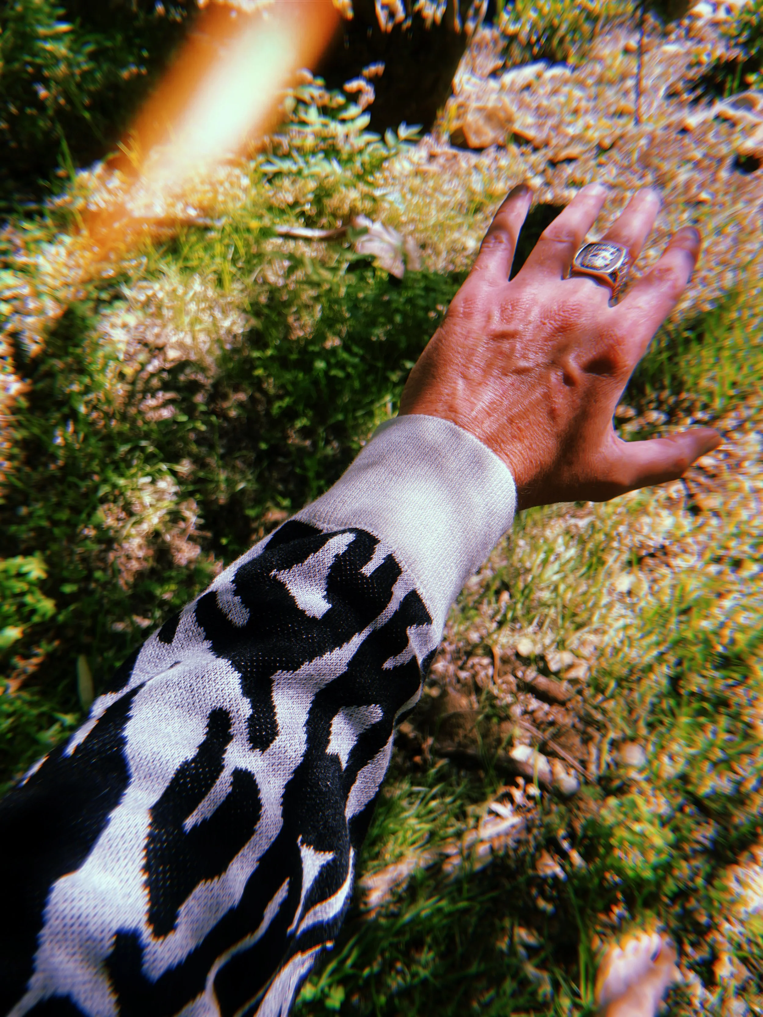 20251125_121144_651 2.JPG