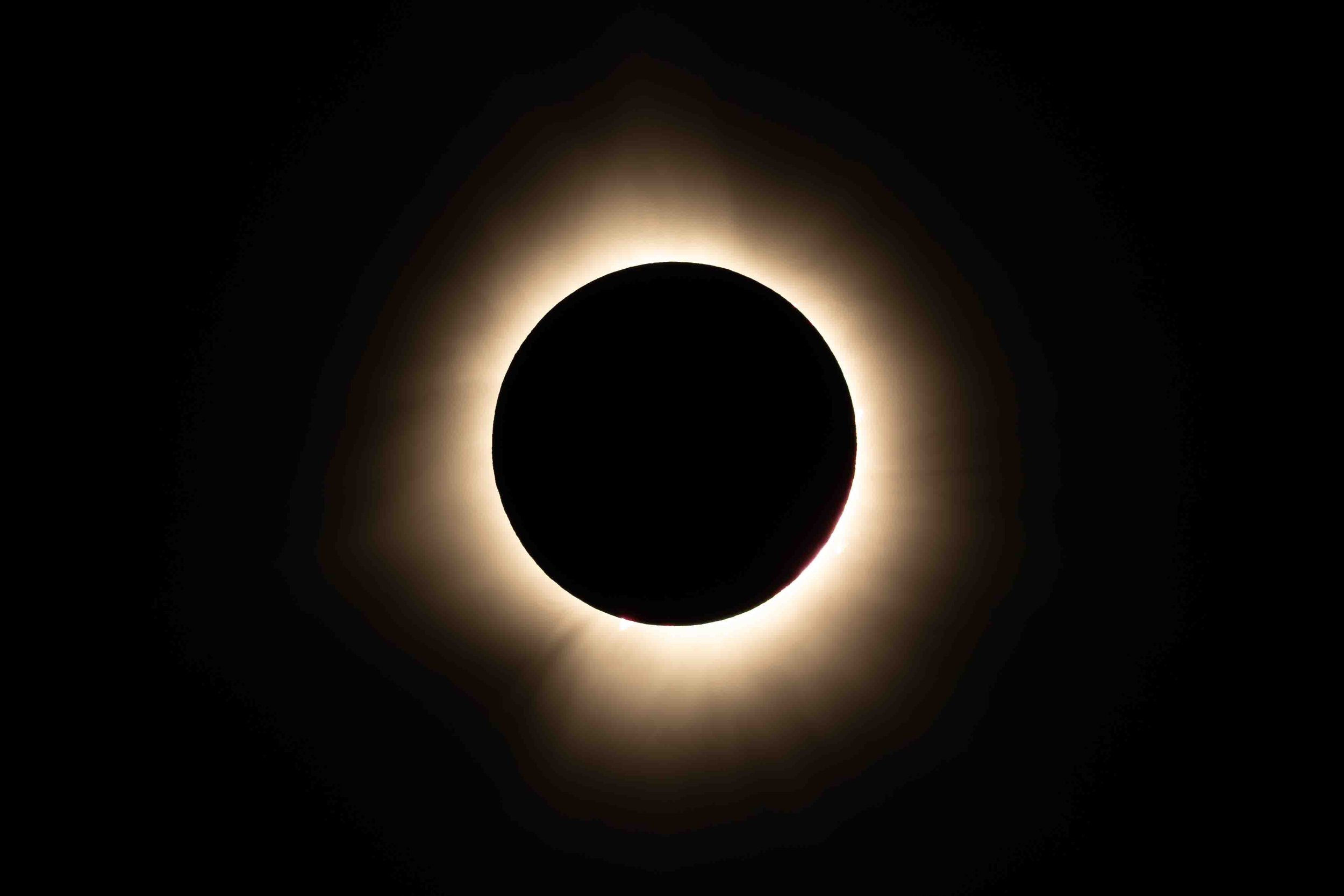 _L8A5240-Enhanced-NR.jpg