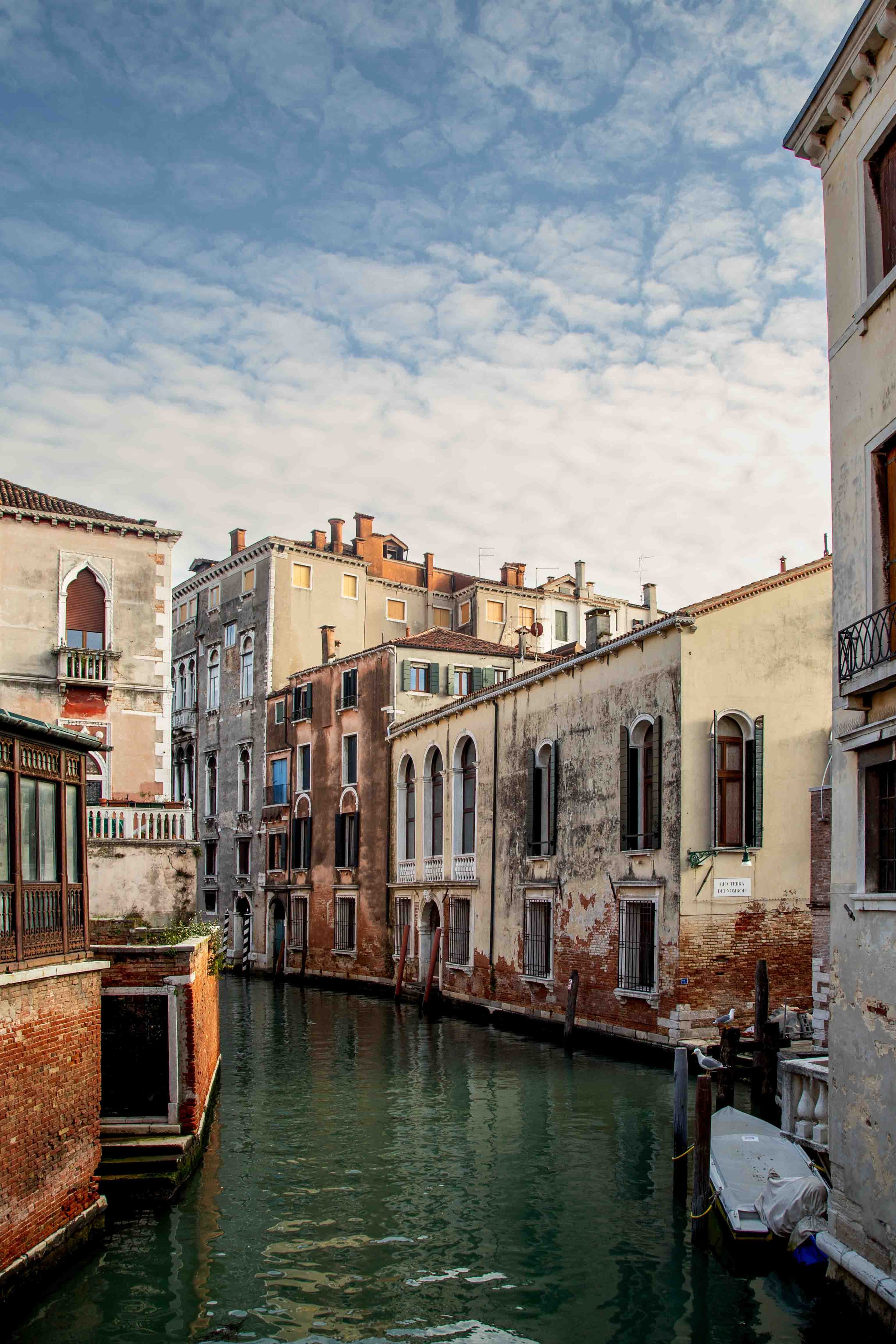 Venice #1