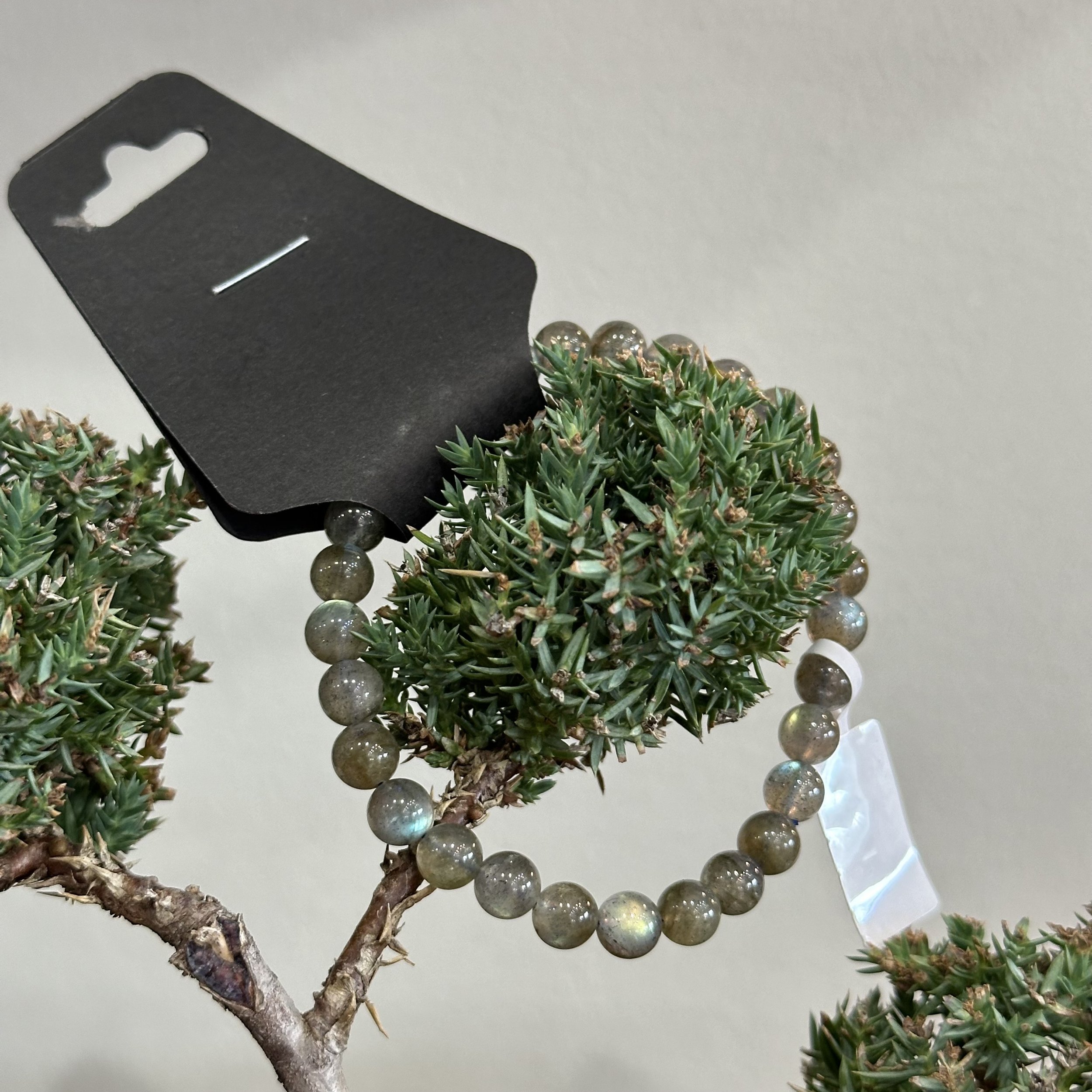 Stone Bracelet - Labradorite