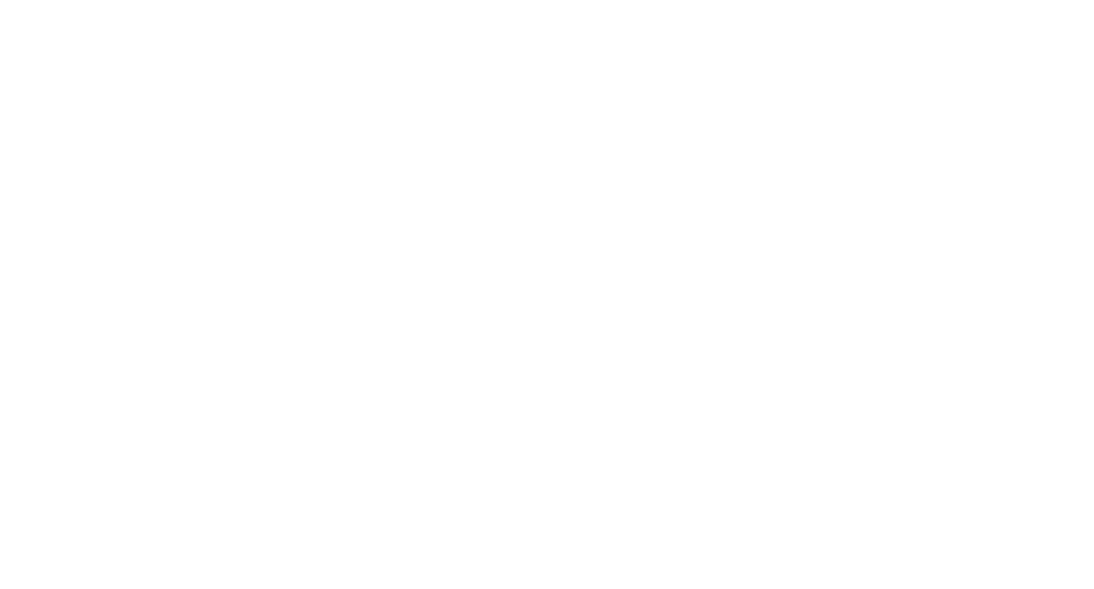 MODEL CTZN