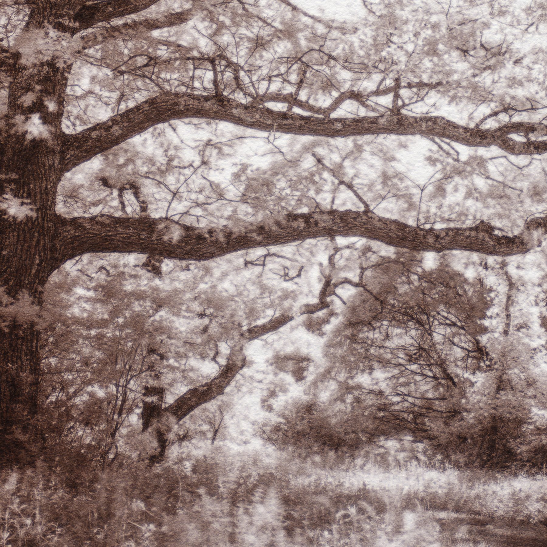 untitled--6.jpg
