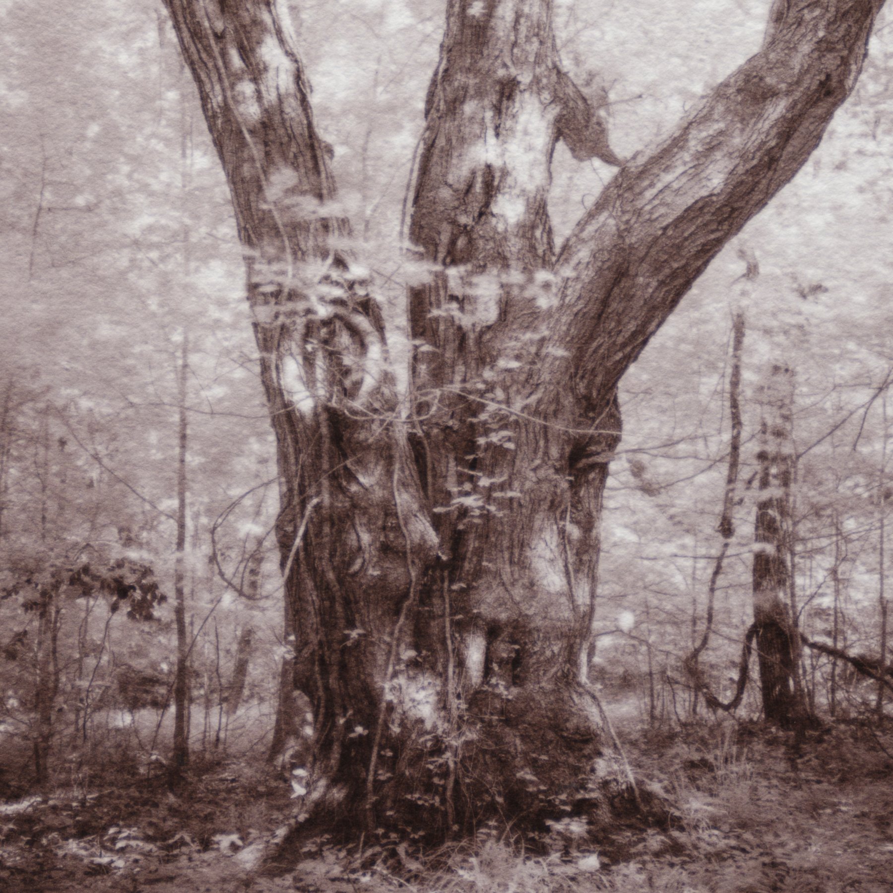 untitled-1552-2.jpg