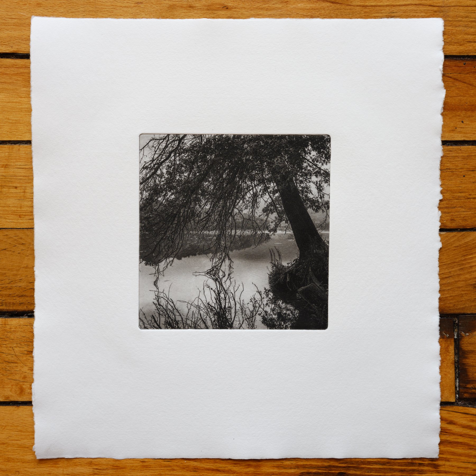 Oxbow #54 - Polymer Photogravure