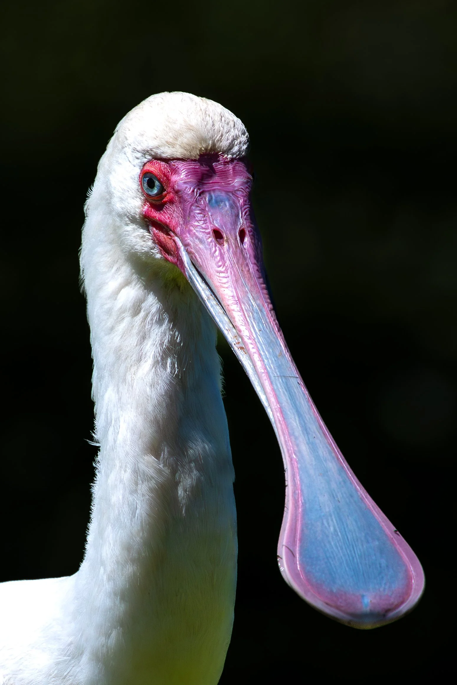 5D0A9206.jpg