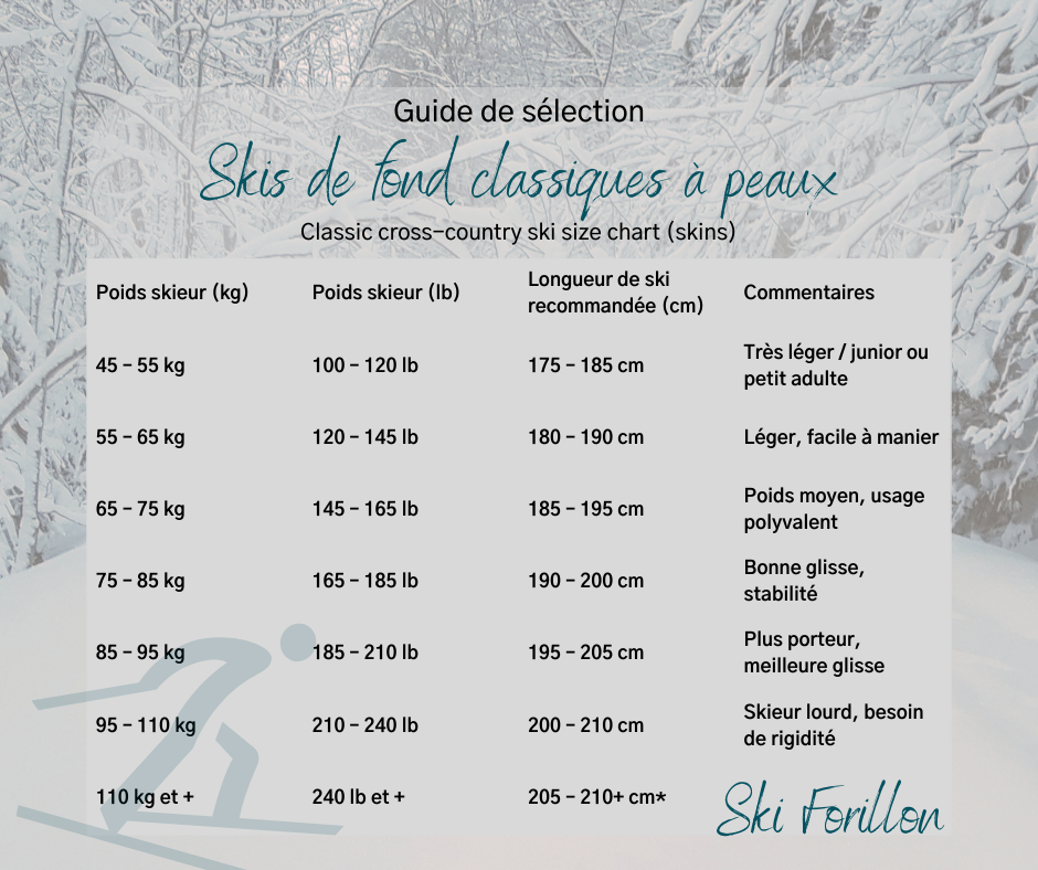 Guide choix skis .png