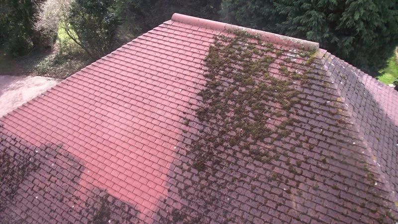Aerial view of a rooftop with red tiles, some of which are covered with moss and dirt.